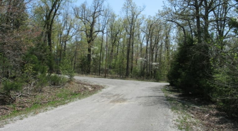 Horseshoe Bend Tract 658 photo 2