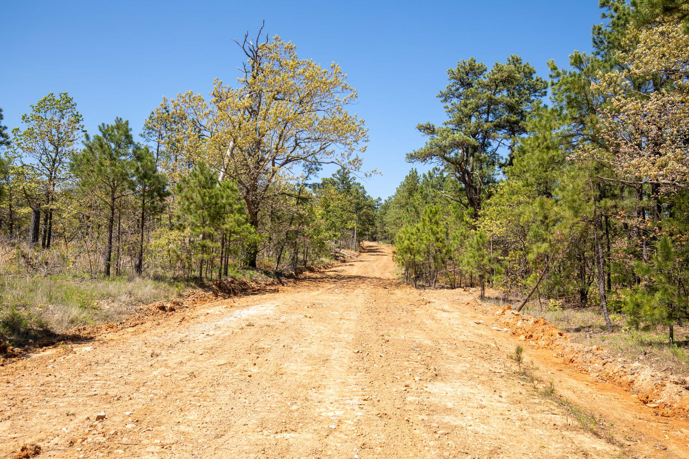 Eagle’s Nest Tract 17 photo 2