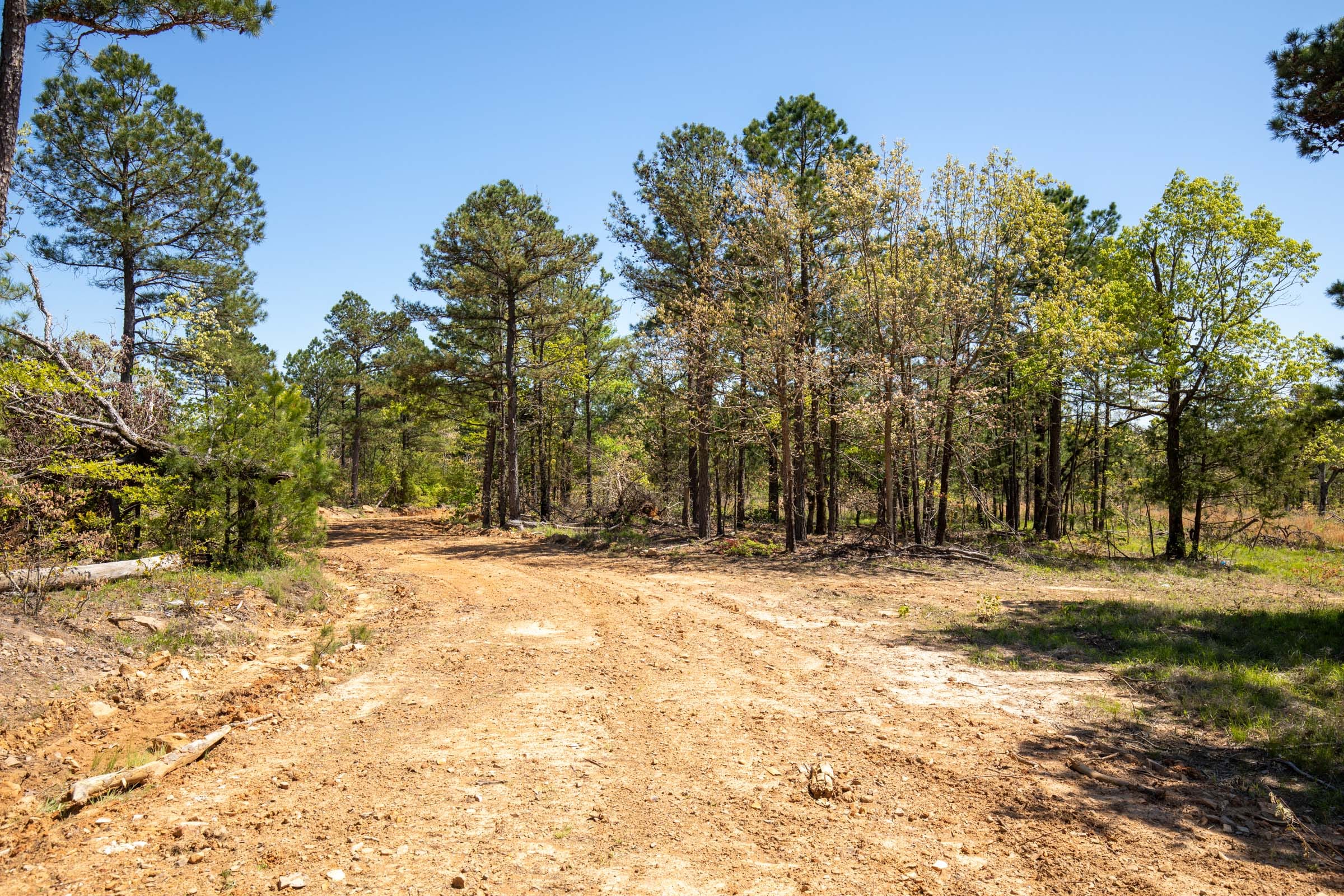 Eagle’s Nest Tract 17 photo 3