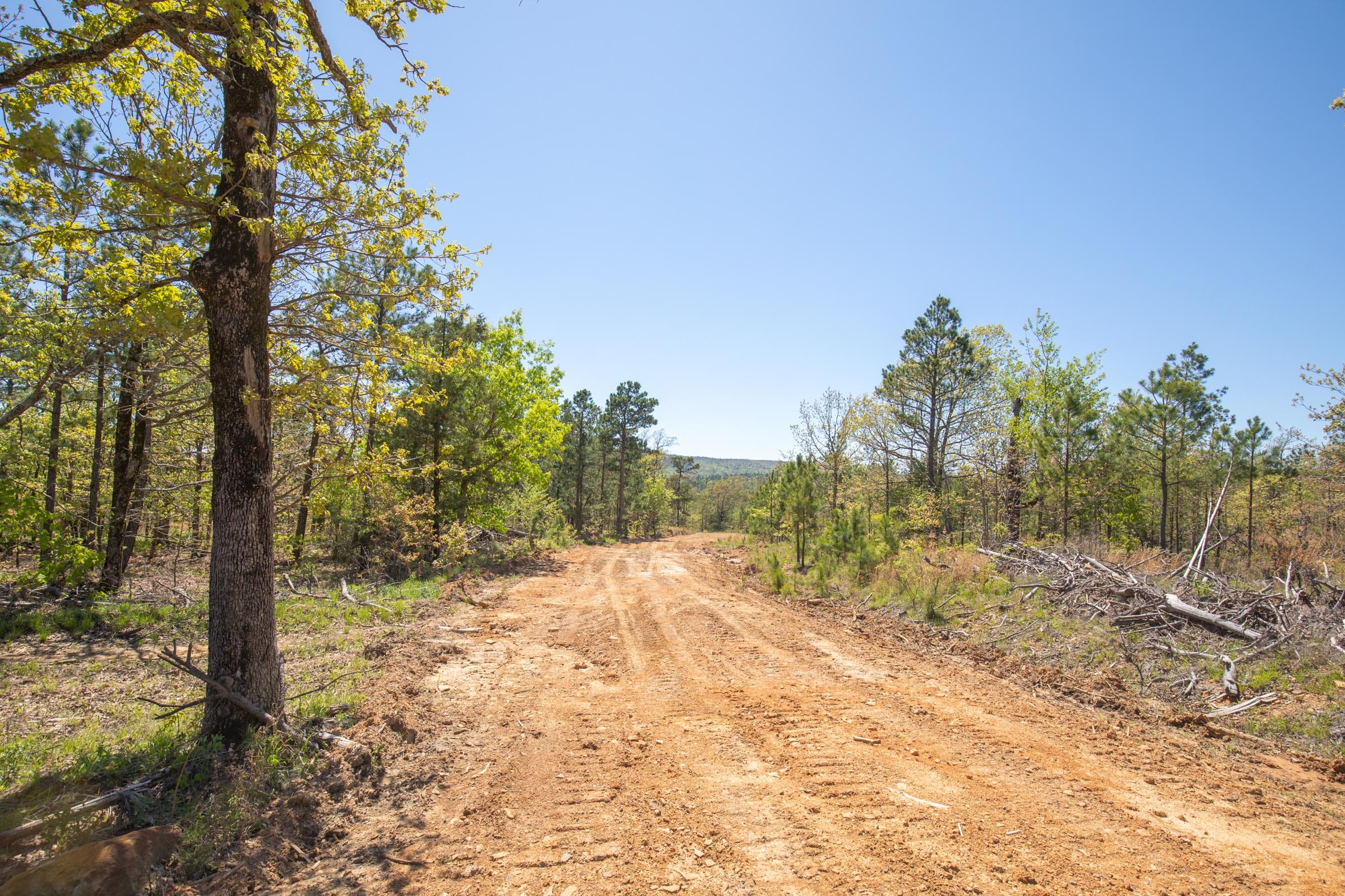 Eagle’s Nest Tract 17 photo 5