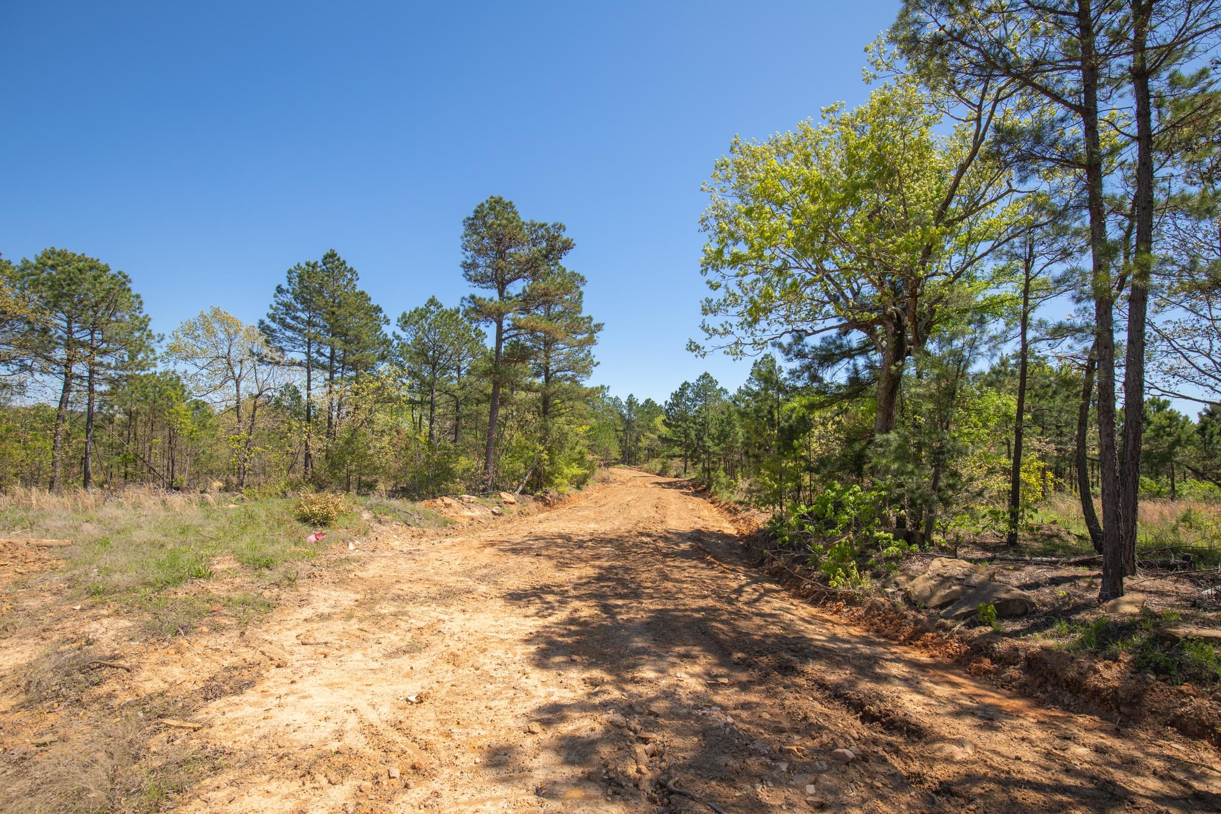 Eagle’s Nest Tract 17 photo 6