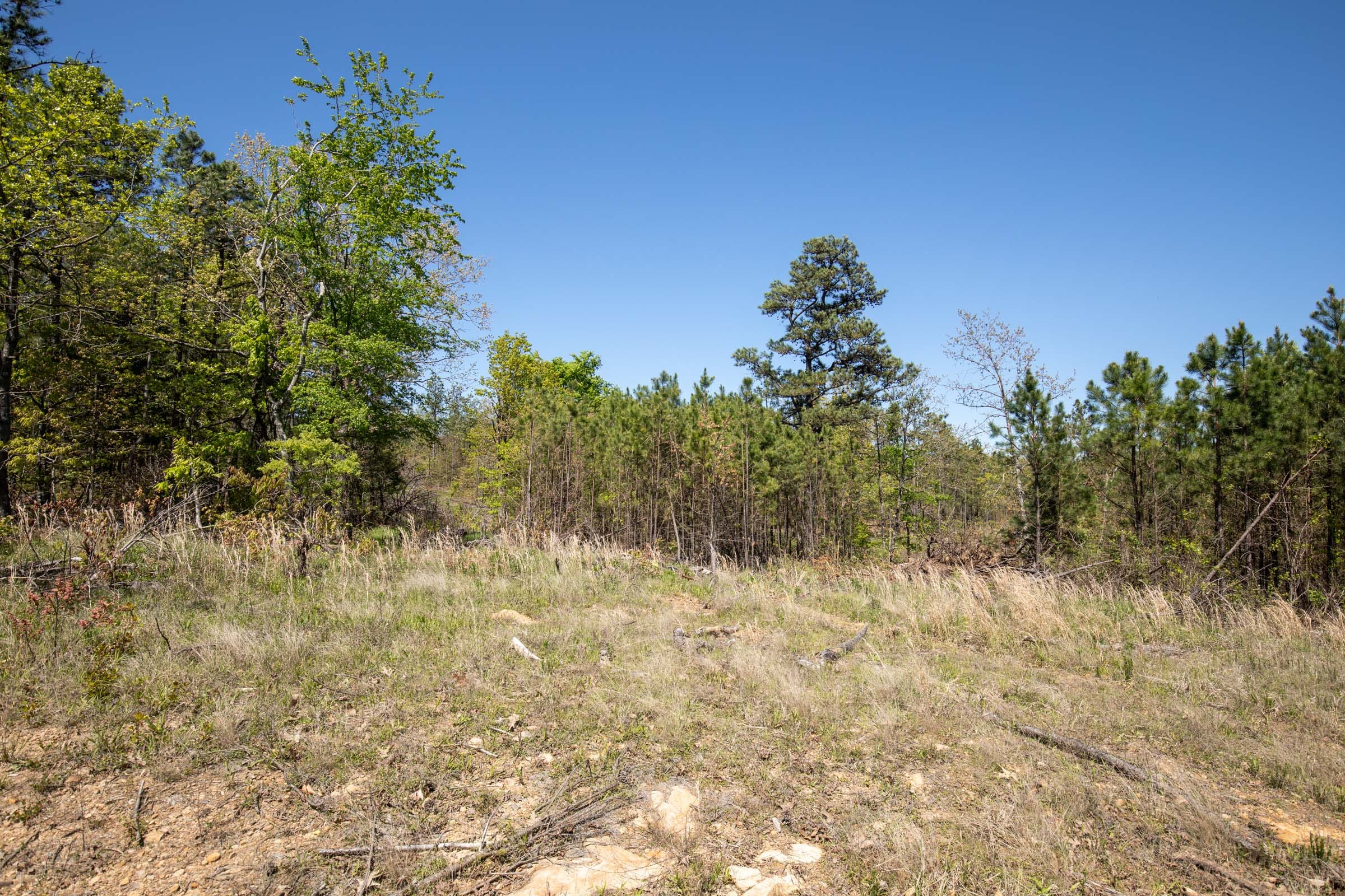 Eagle’s Nest Tract 17 photo 7