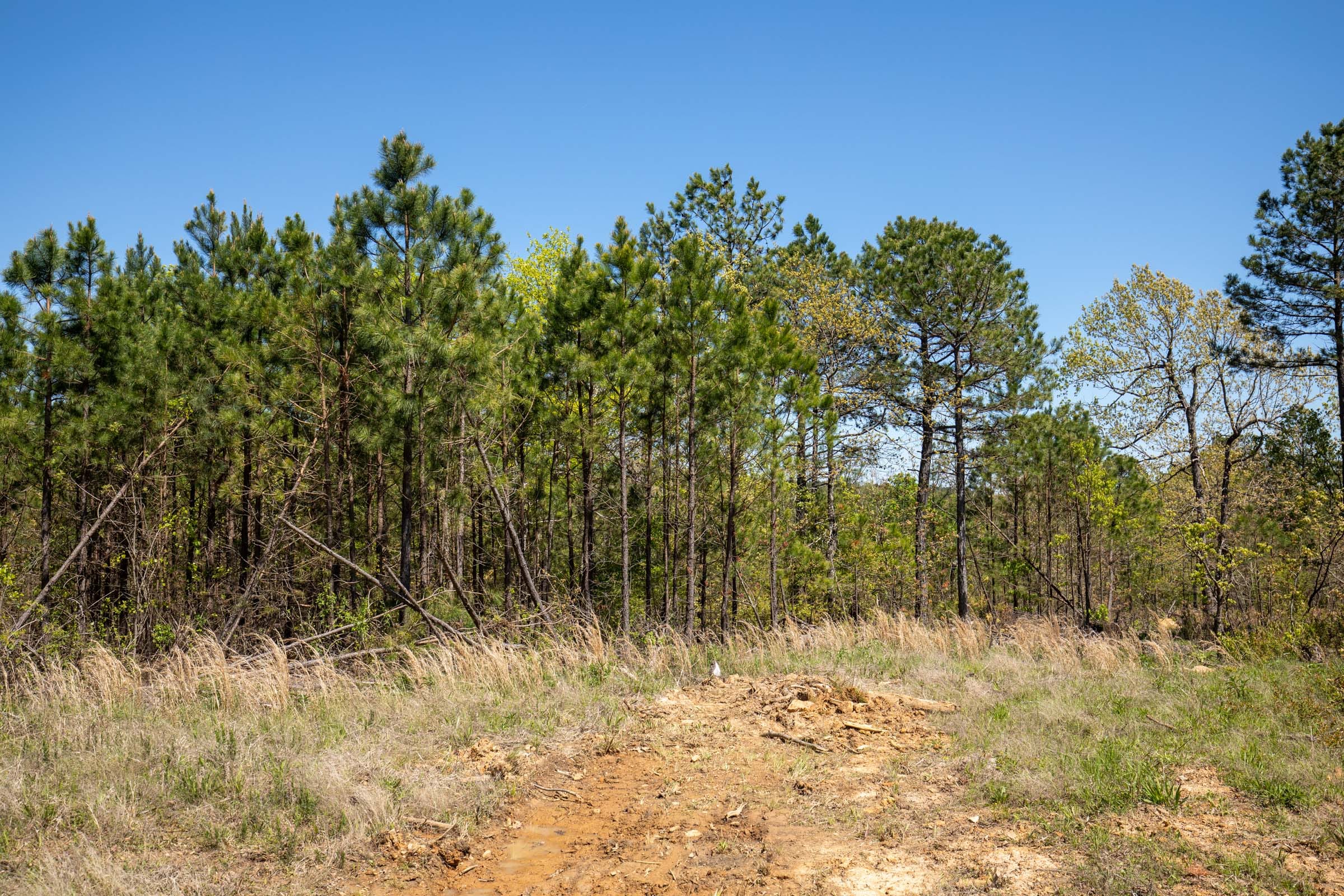 Eagle’s Nest Tract 17 photo 8