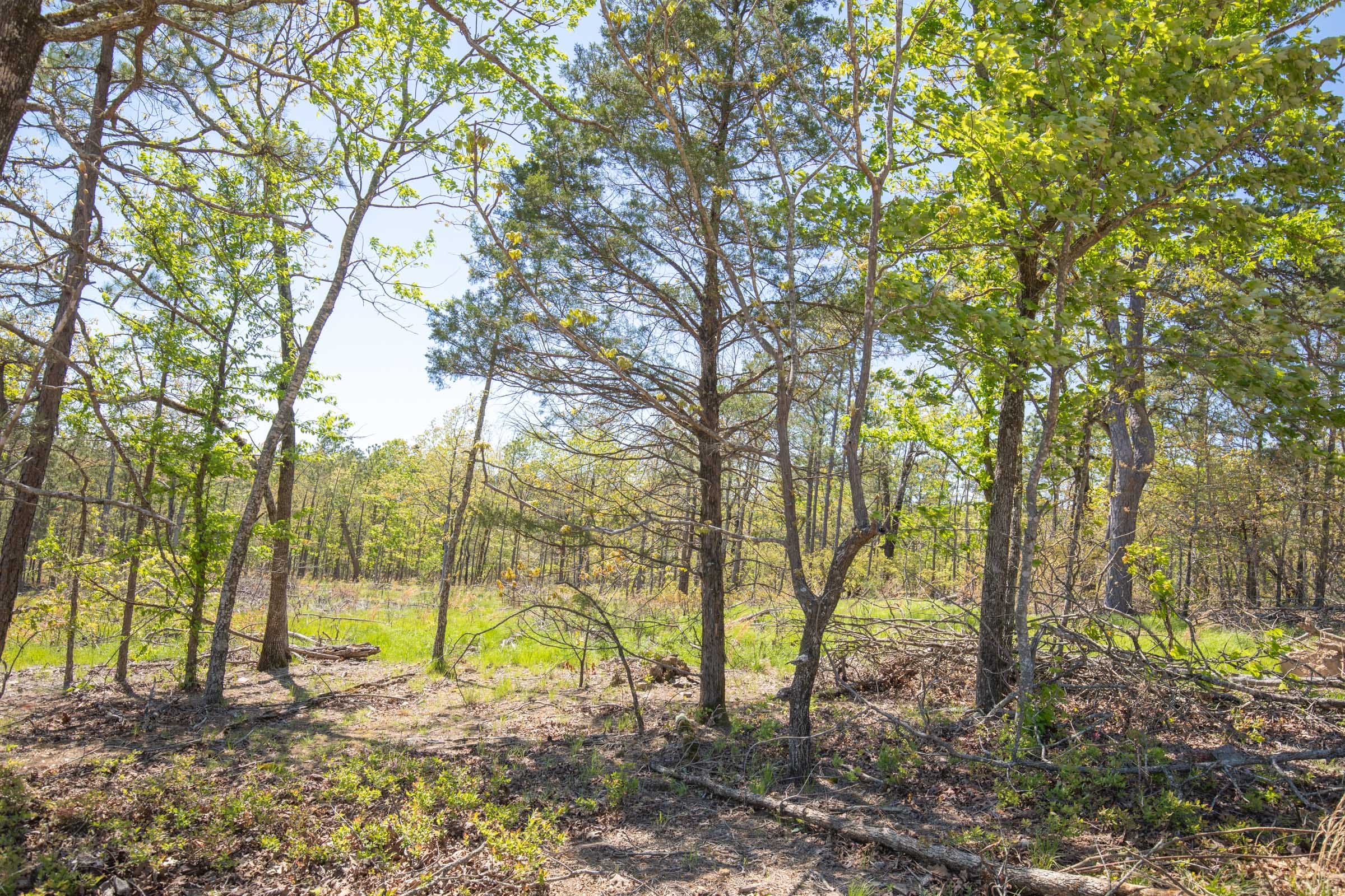 Eagle’s Nest Tract 17 photo 11
