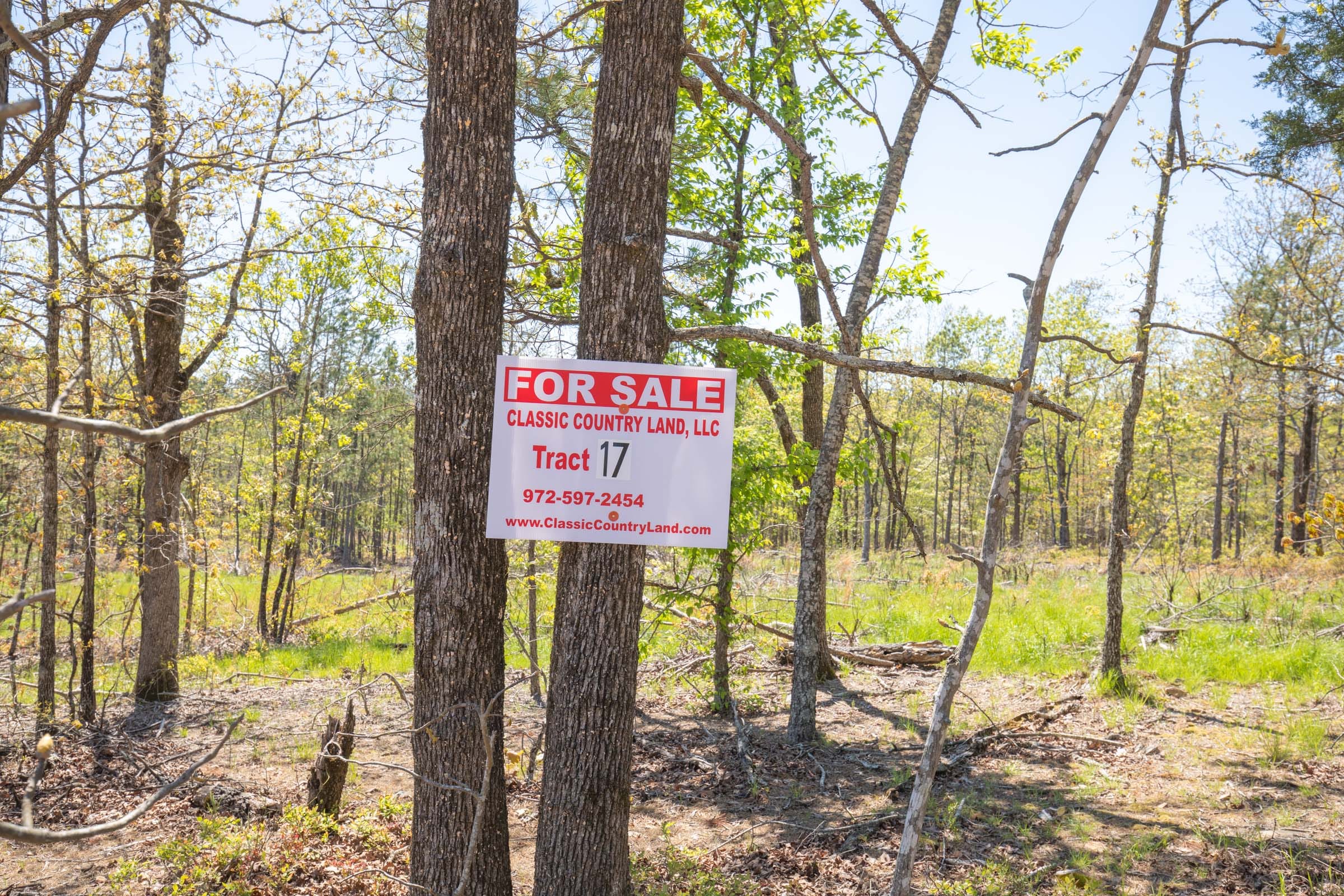 Eagle’s Nest Tract 17 photo 1