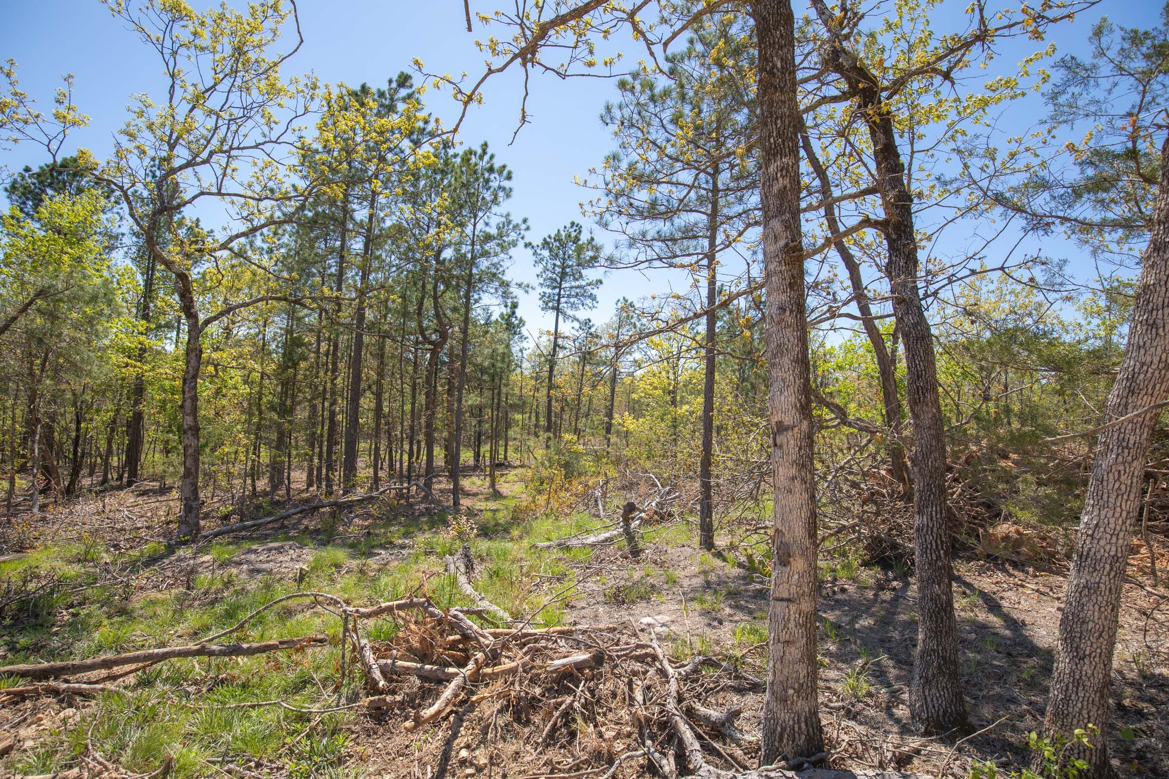 Eagle’s Nest Tract 17 photo 13