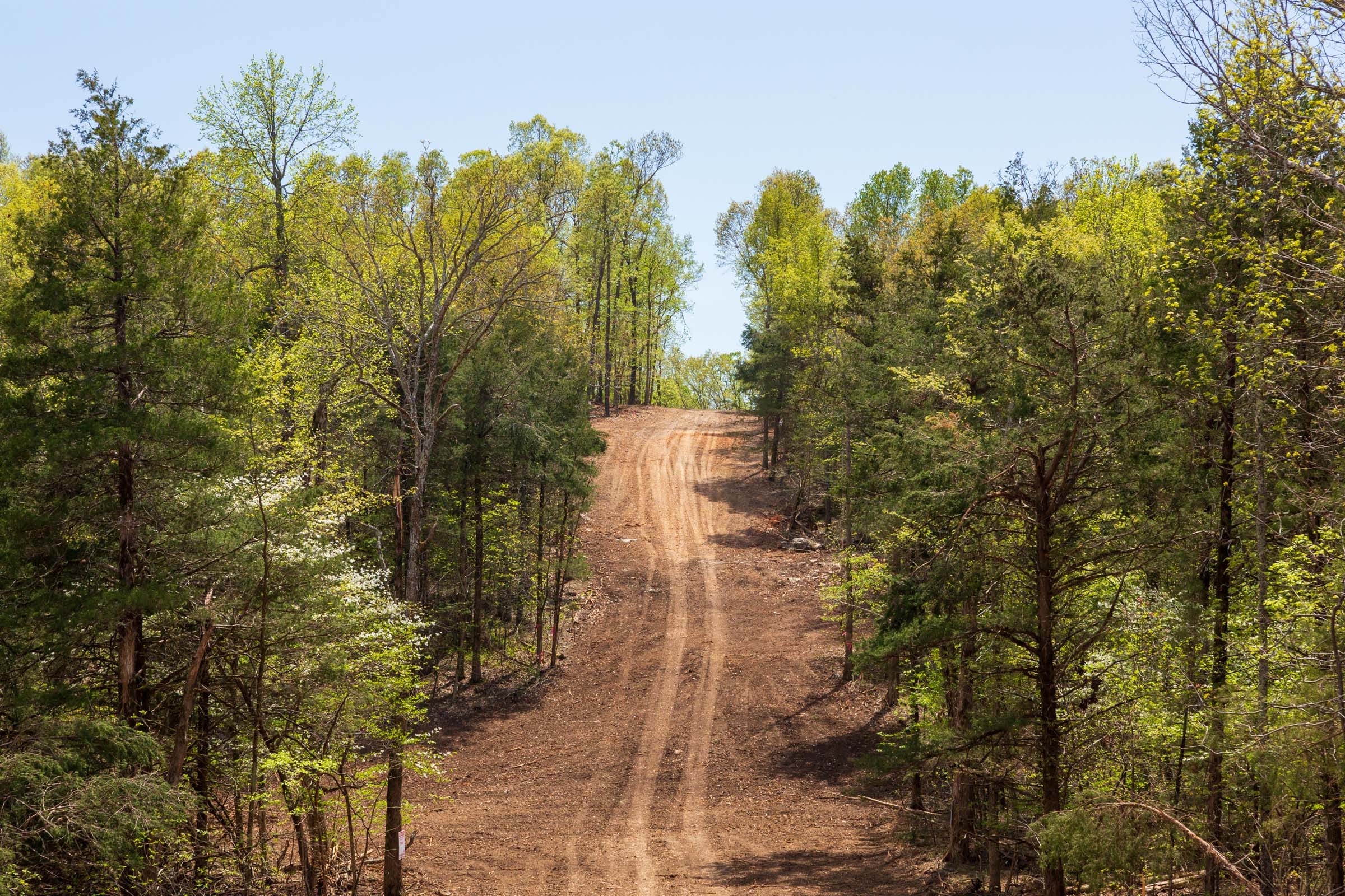 Autumnwood Tract 16 photo 1