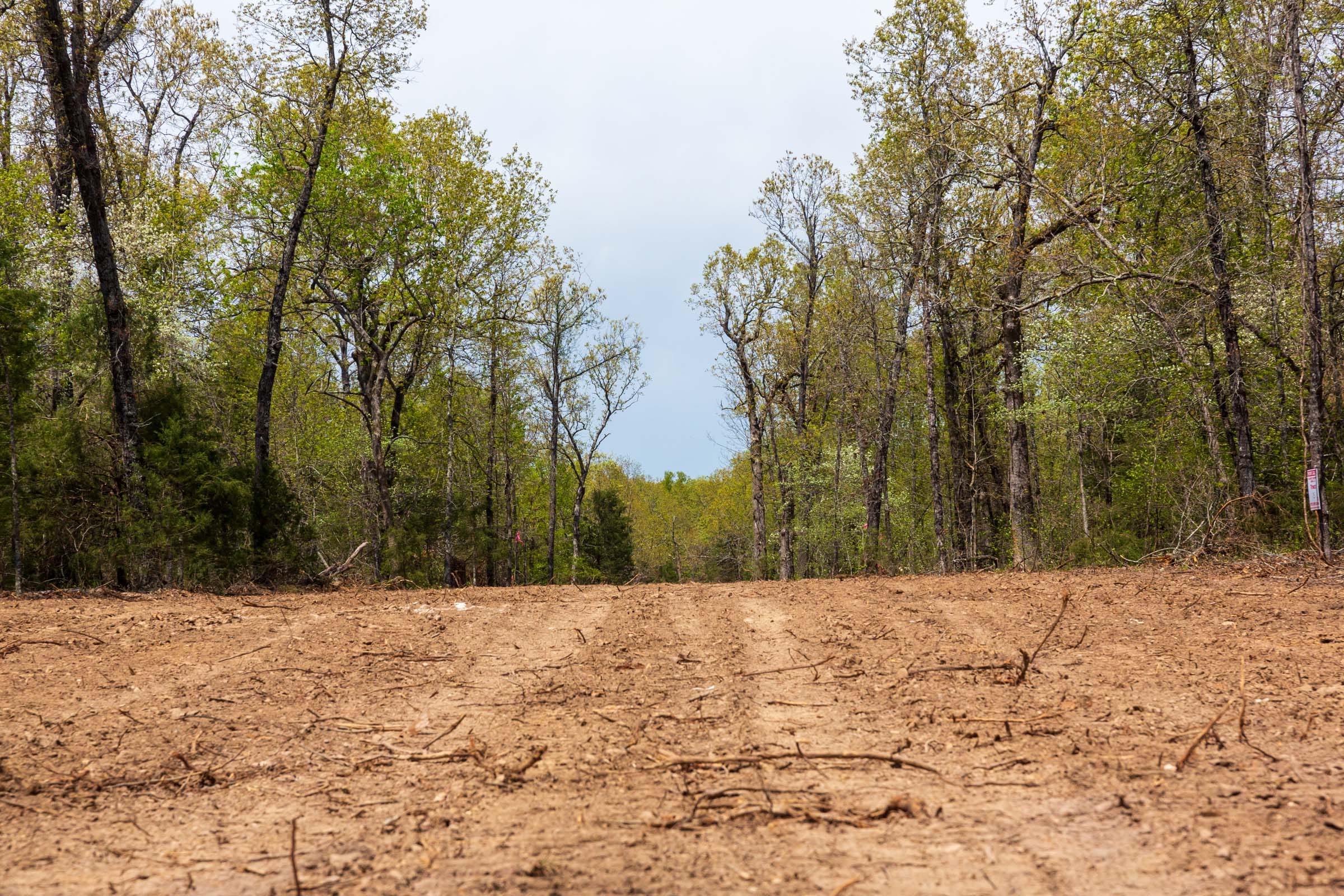 Autumnwood Tract 16 photo 6