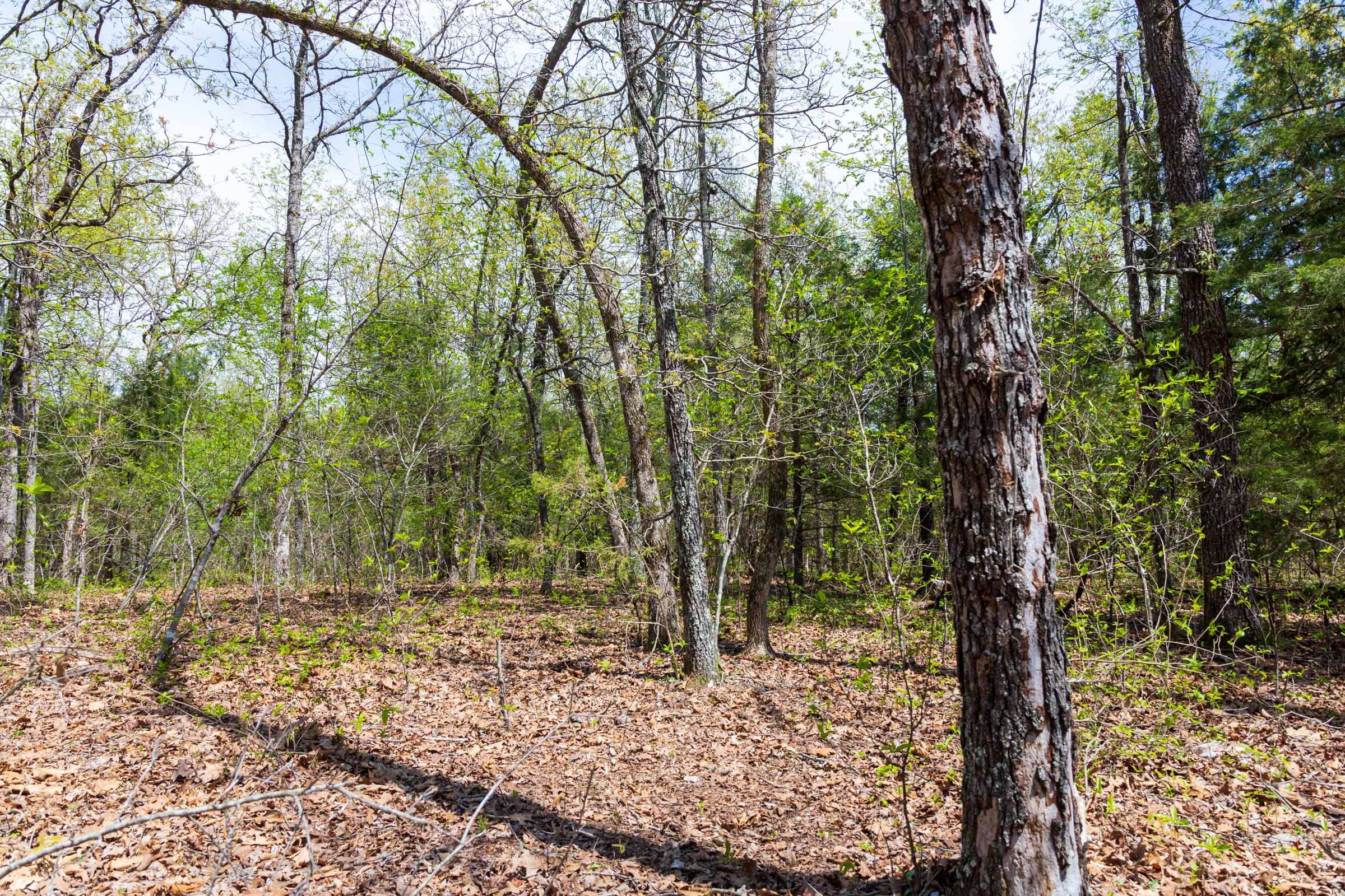 Autumnwood Tract 16 photo 14