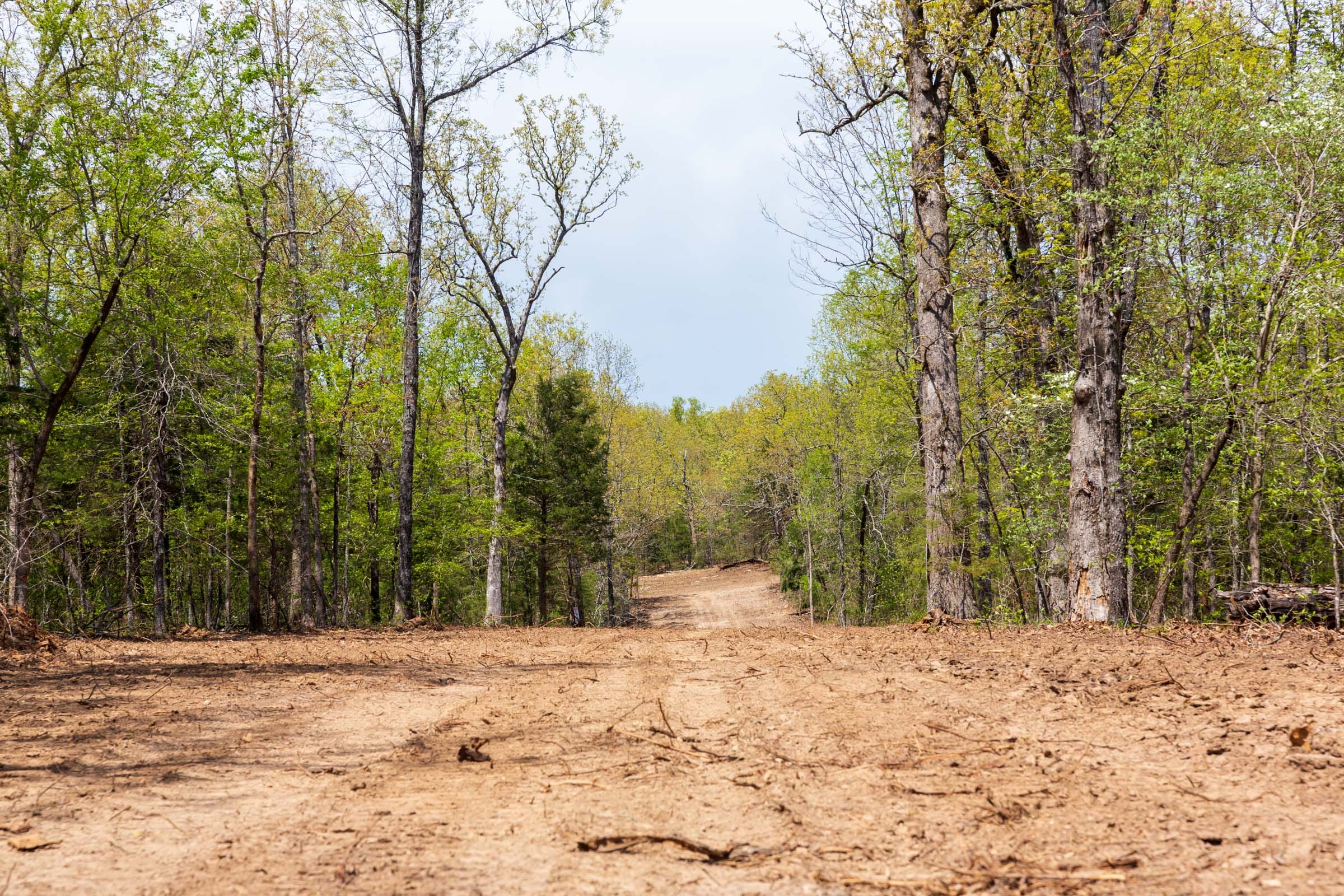 Autumnwood Tract 16 photo 11