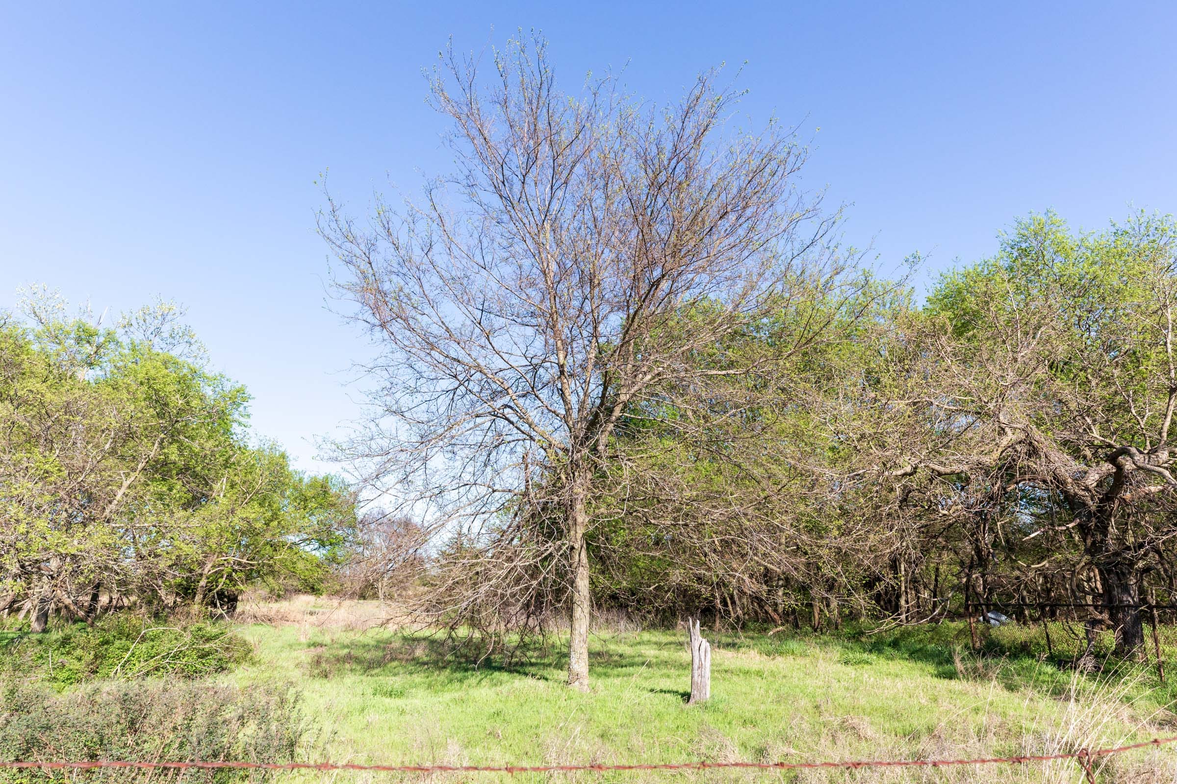 Prairie Grove Tract 3 photo 3
