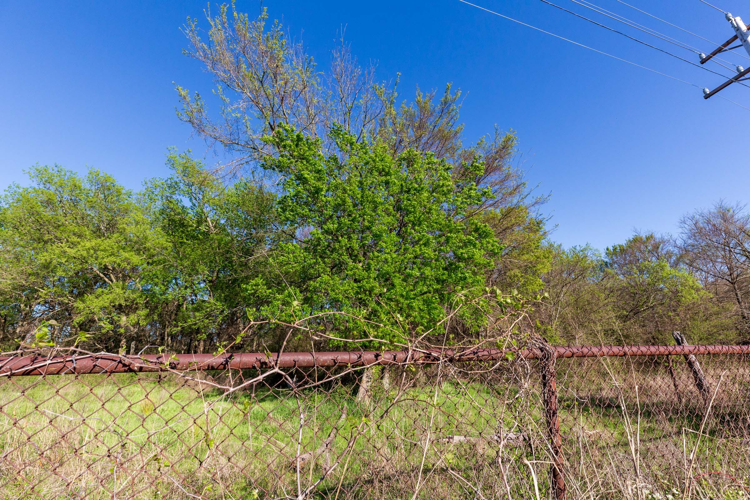 Prairie Grove Tract 3 photo 5