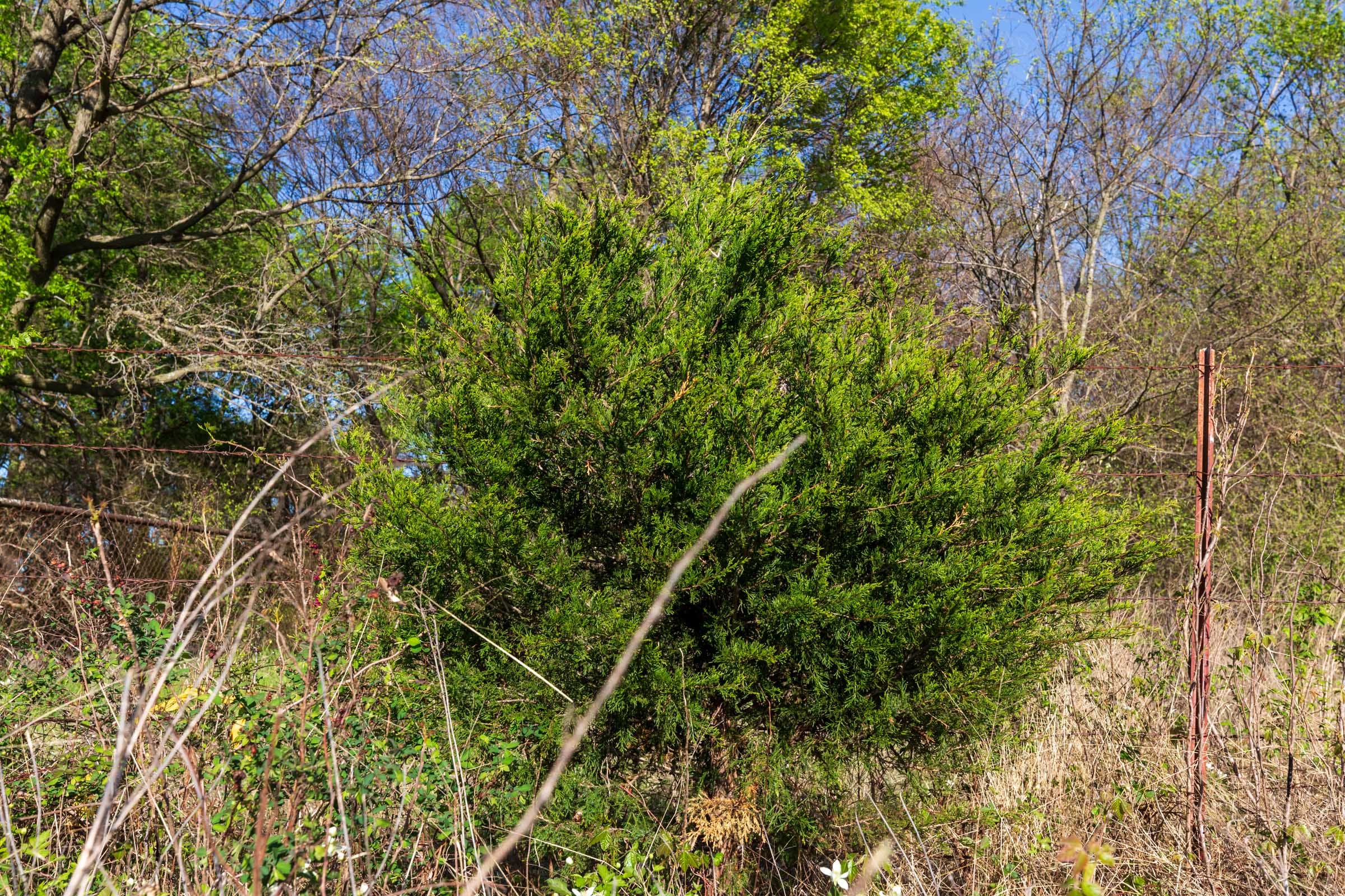 Prairie Grove Tract 3 photo 9
