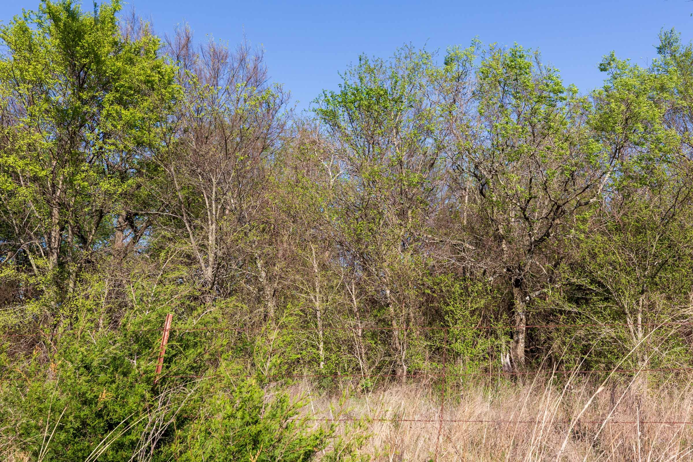 Prairie Grove Tract 3 photo 12