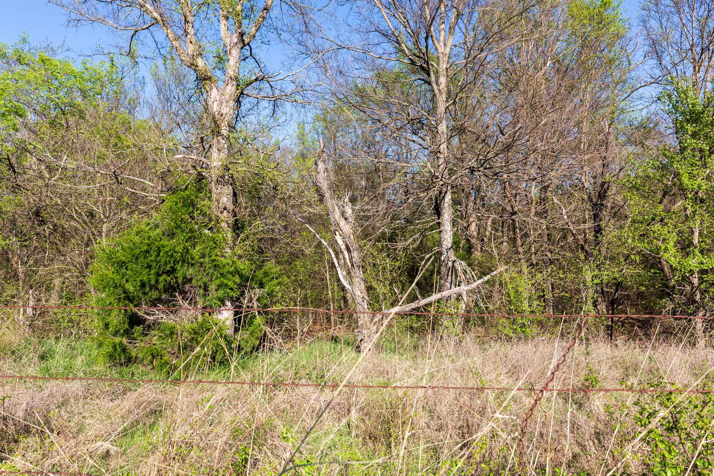 Prairie Grove Tract 3 photo 11