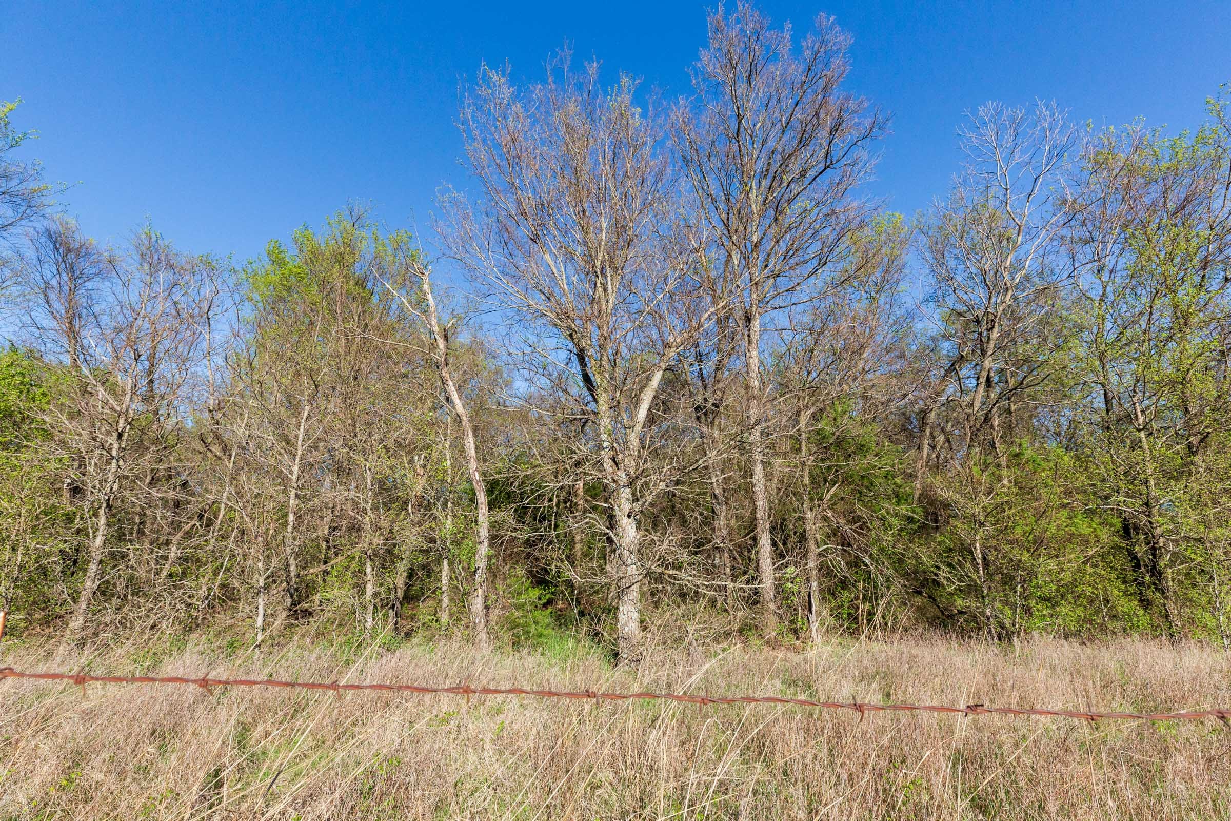 Prairie Grove Tract 3 photo 10