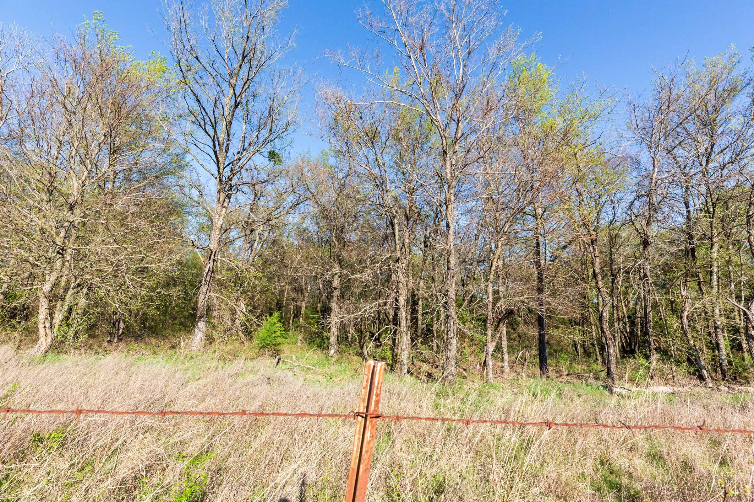 Prairie Grove Tract 3 photo 15