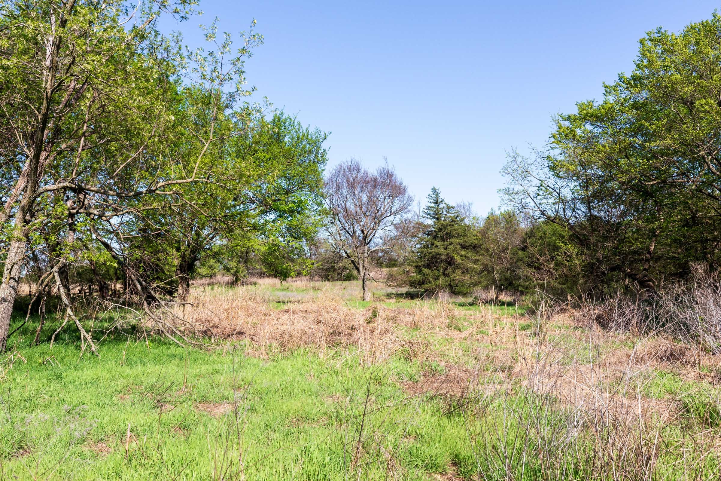 Prairie Grove Tract 3 photo 14