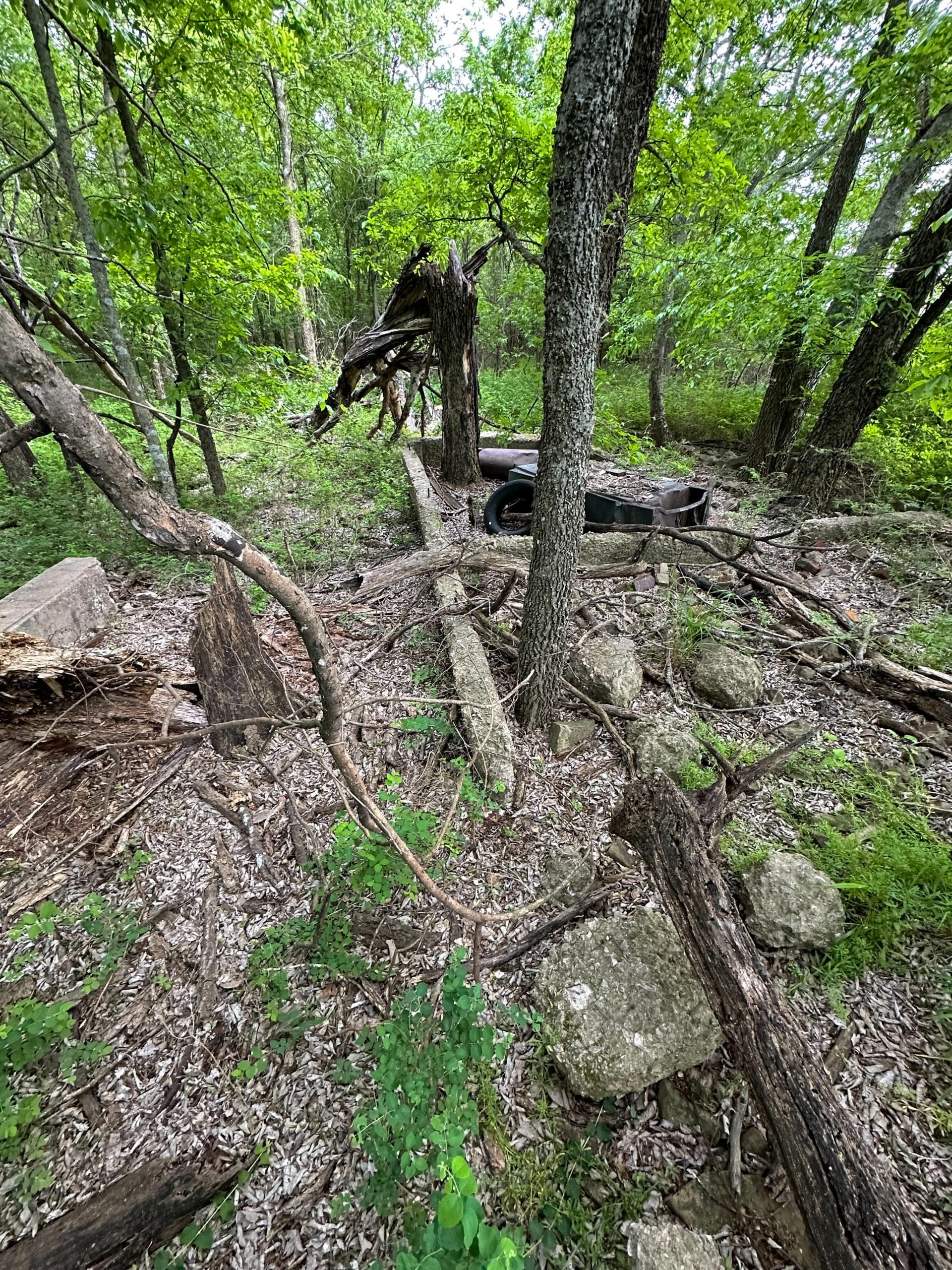 Prairie Grove Tract 3 photo 19