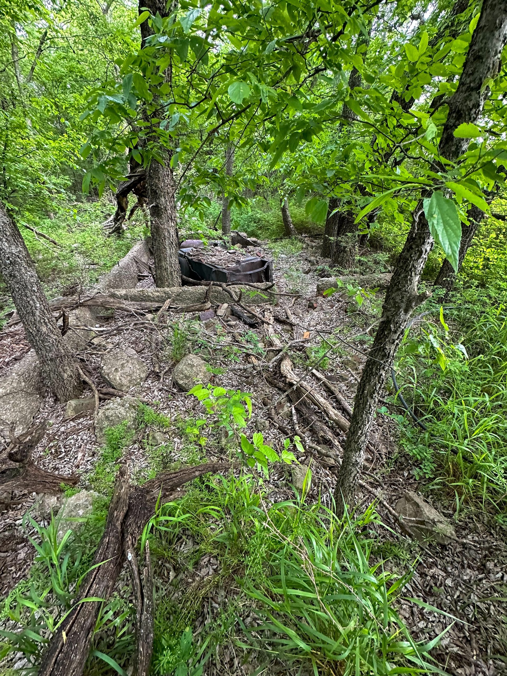 Prairie Grove Tract 3 photo 22