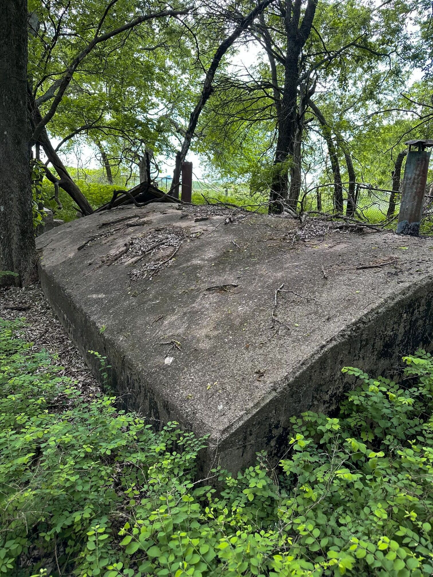 Prairie Grove Tract 3 photo 27