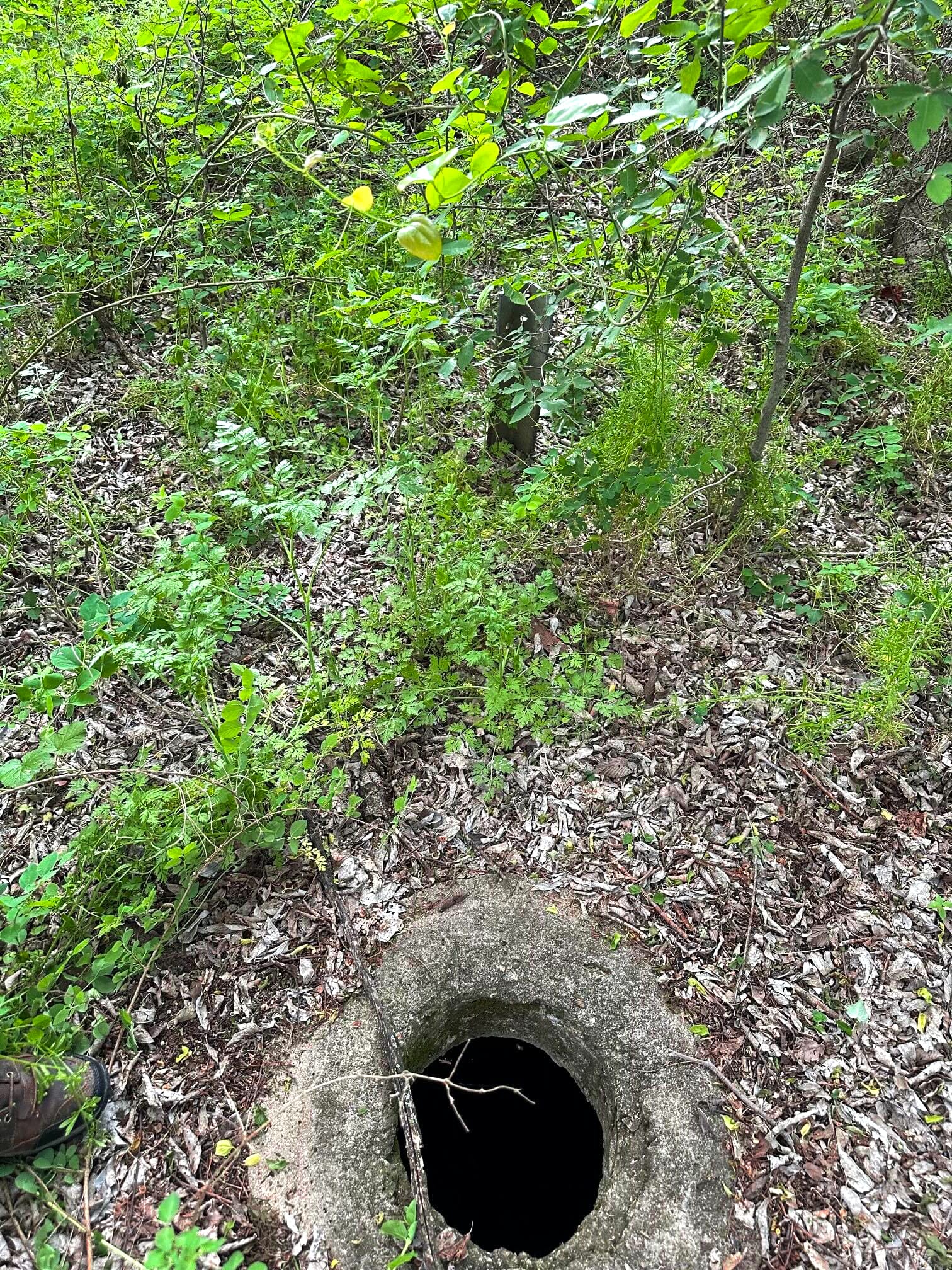Prairie Grove Tract 3 photo 28