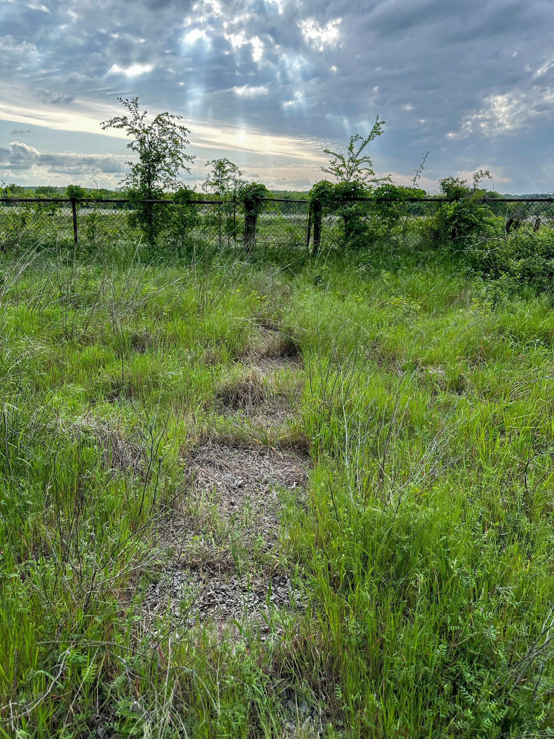 Prairie Grove Tract 3 photo 16