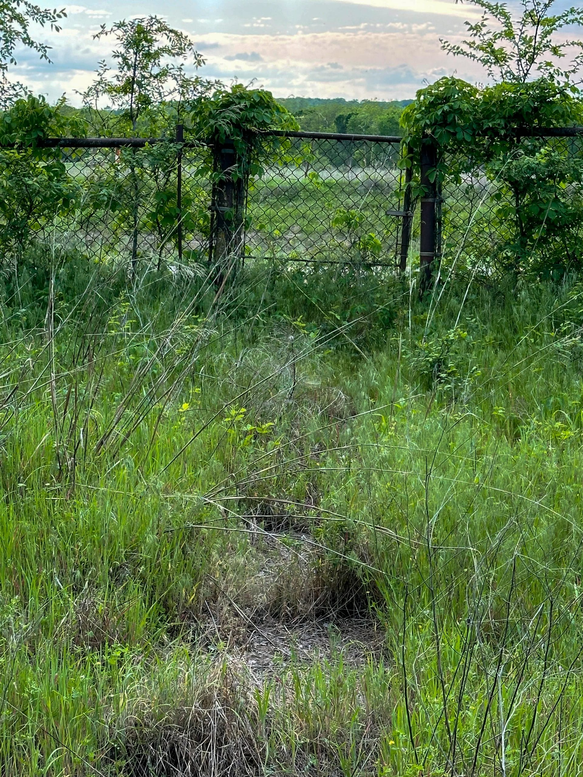 Prairie Grove Tract 3 photo 24