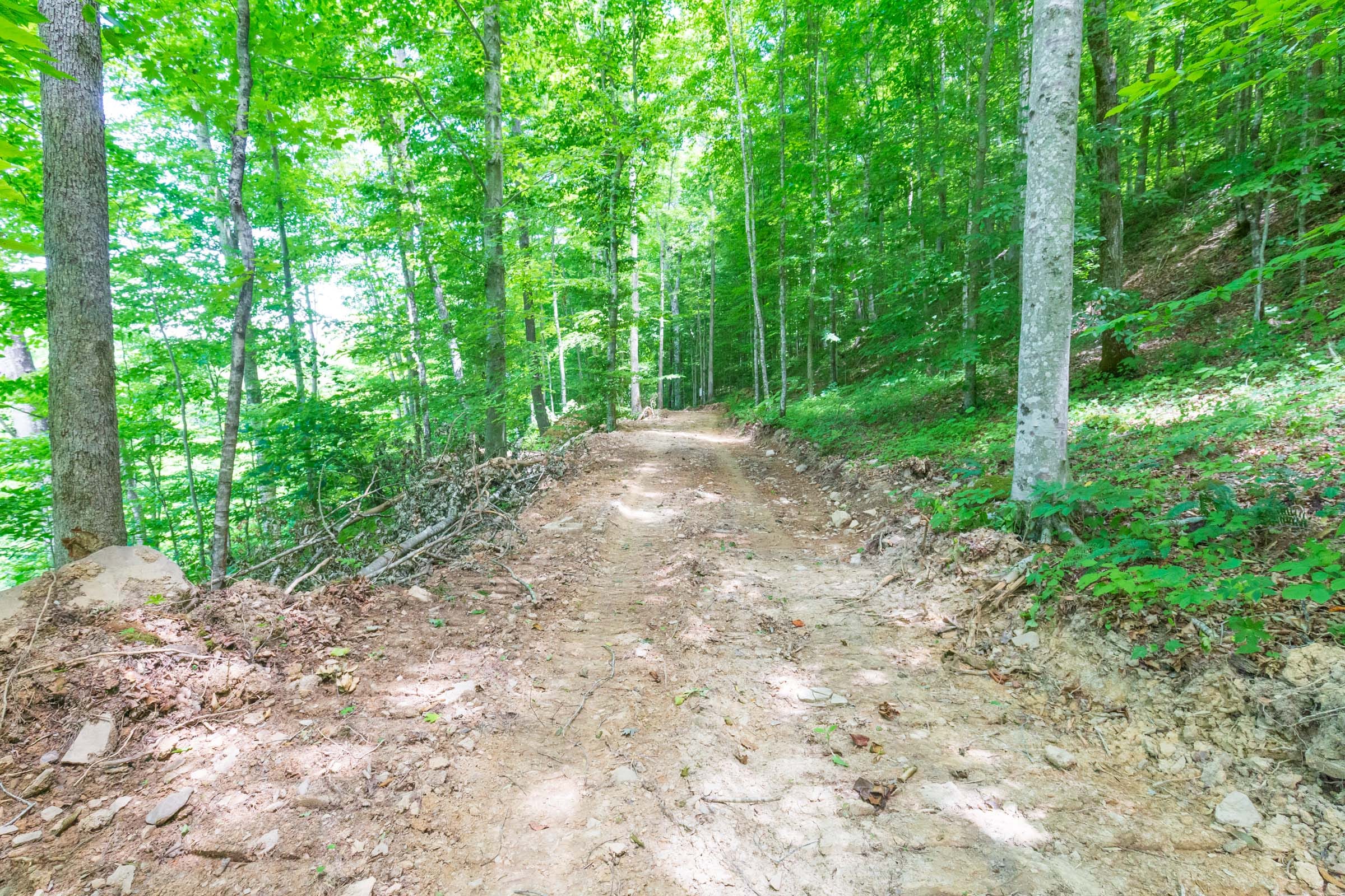 River’s Edge Tract 16 photo 5