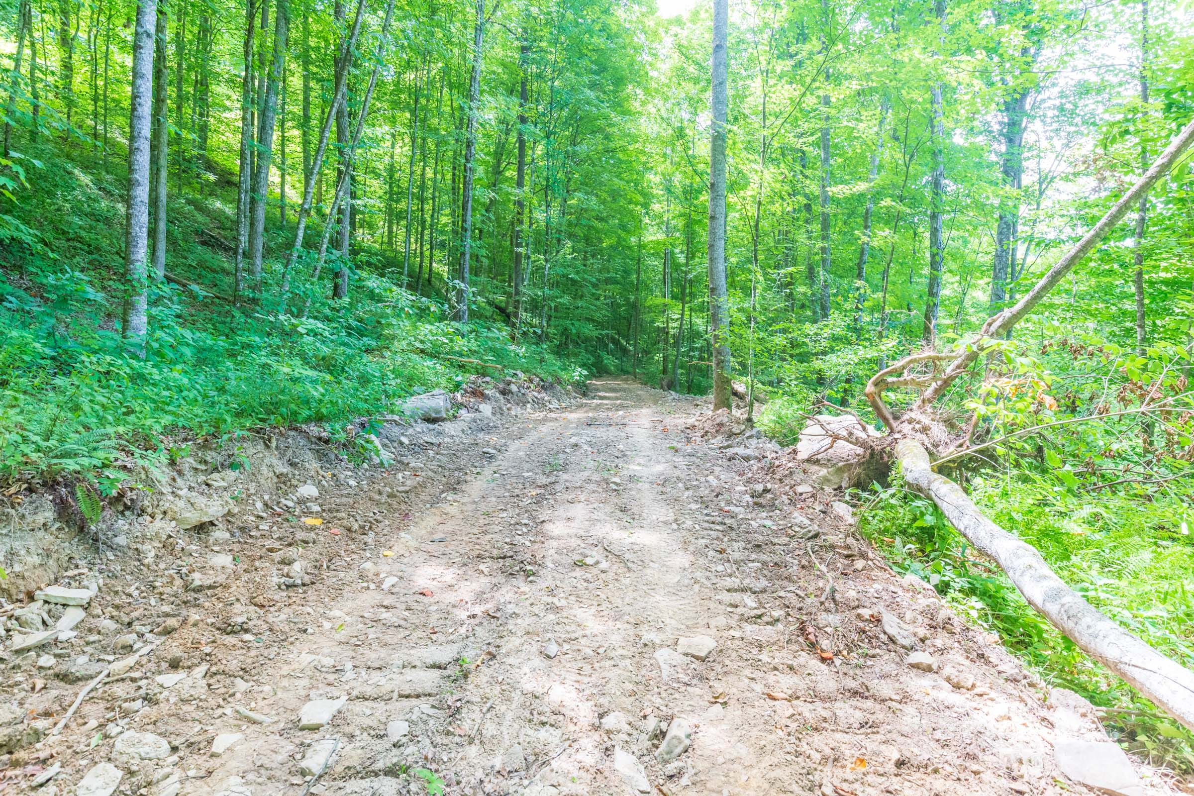 River’s Edge Tract 16 photo 1
