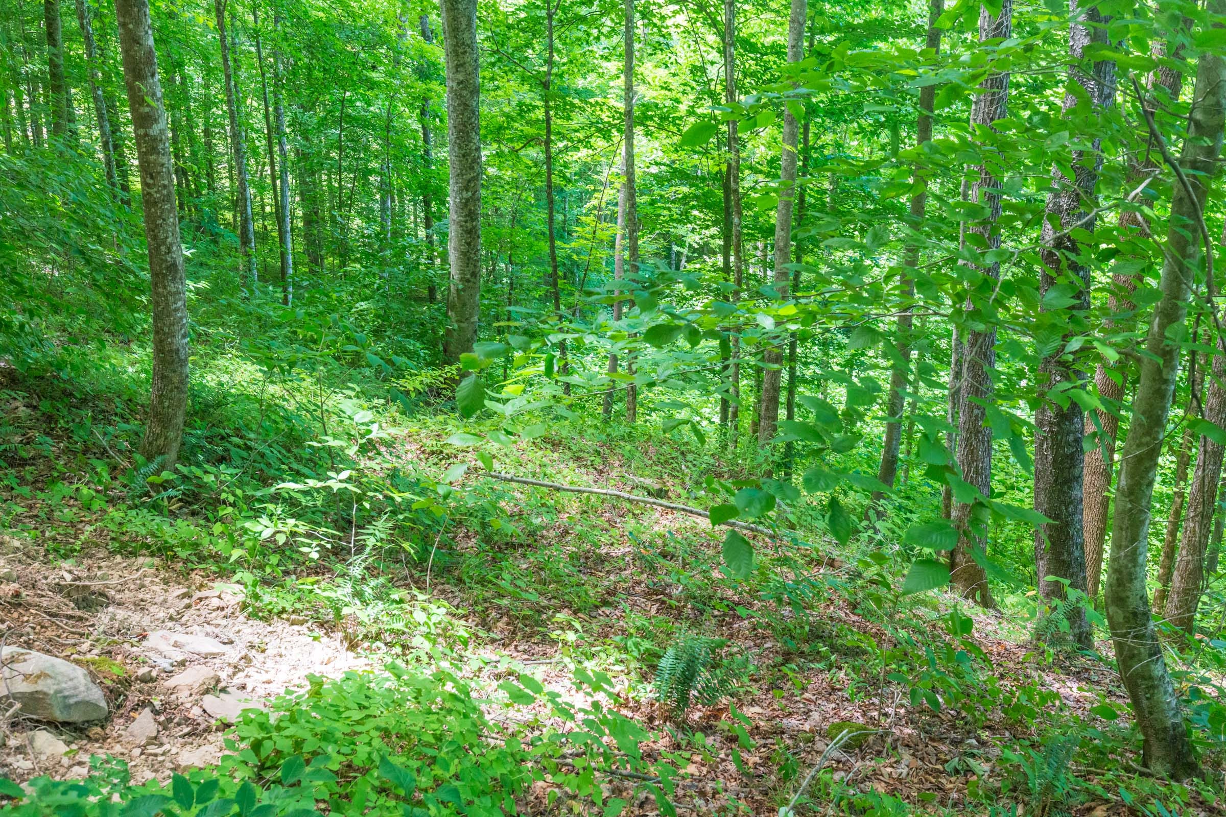 River’s Edge Tract 16 photo 7