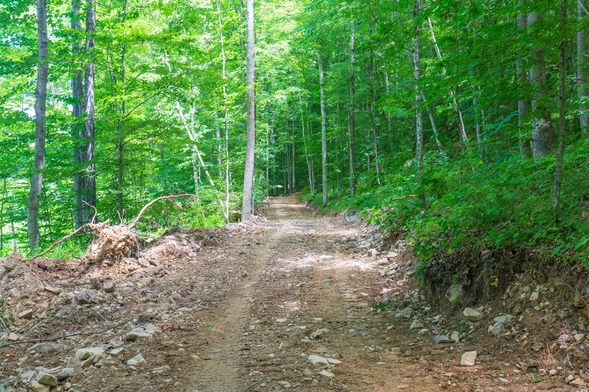 River’s Edge Tract 16 photo 13