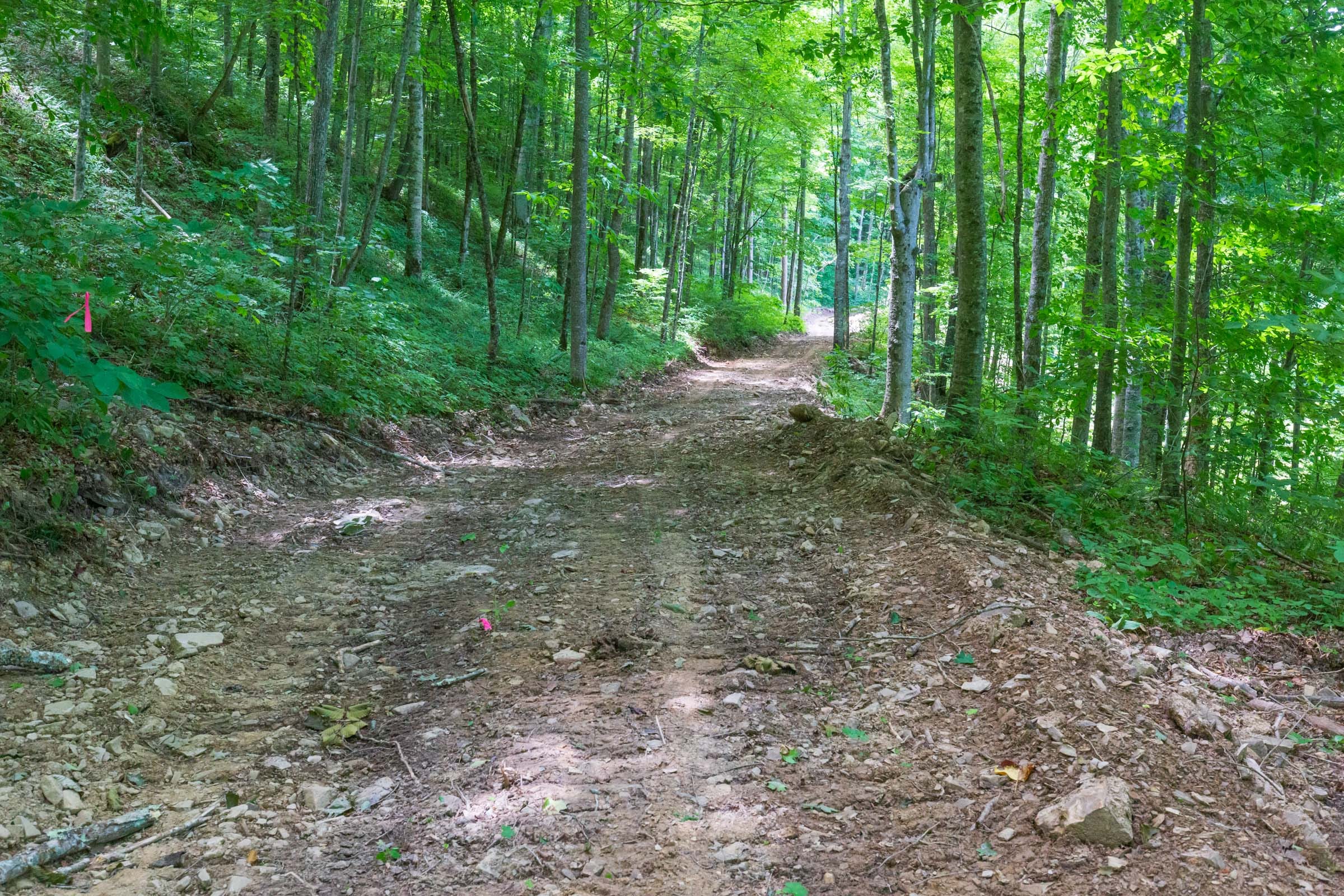 River’s Edge Tract 16 photo 9