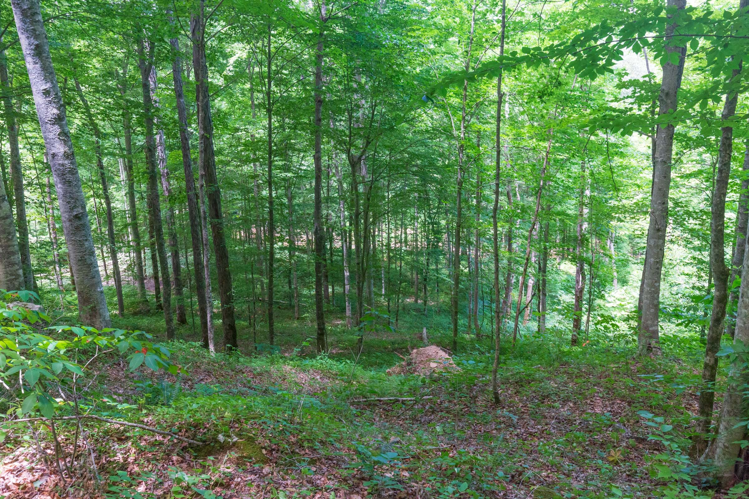 River’s Edge Tract 16 photo 8