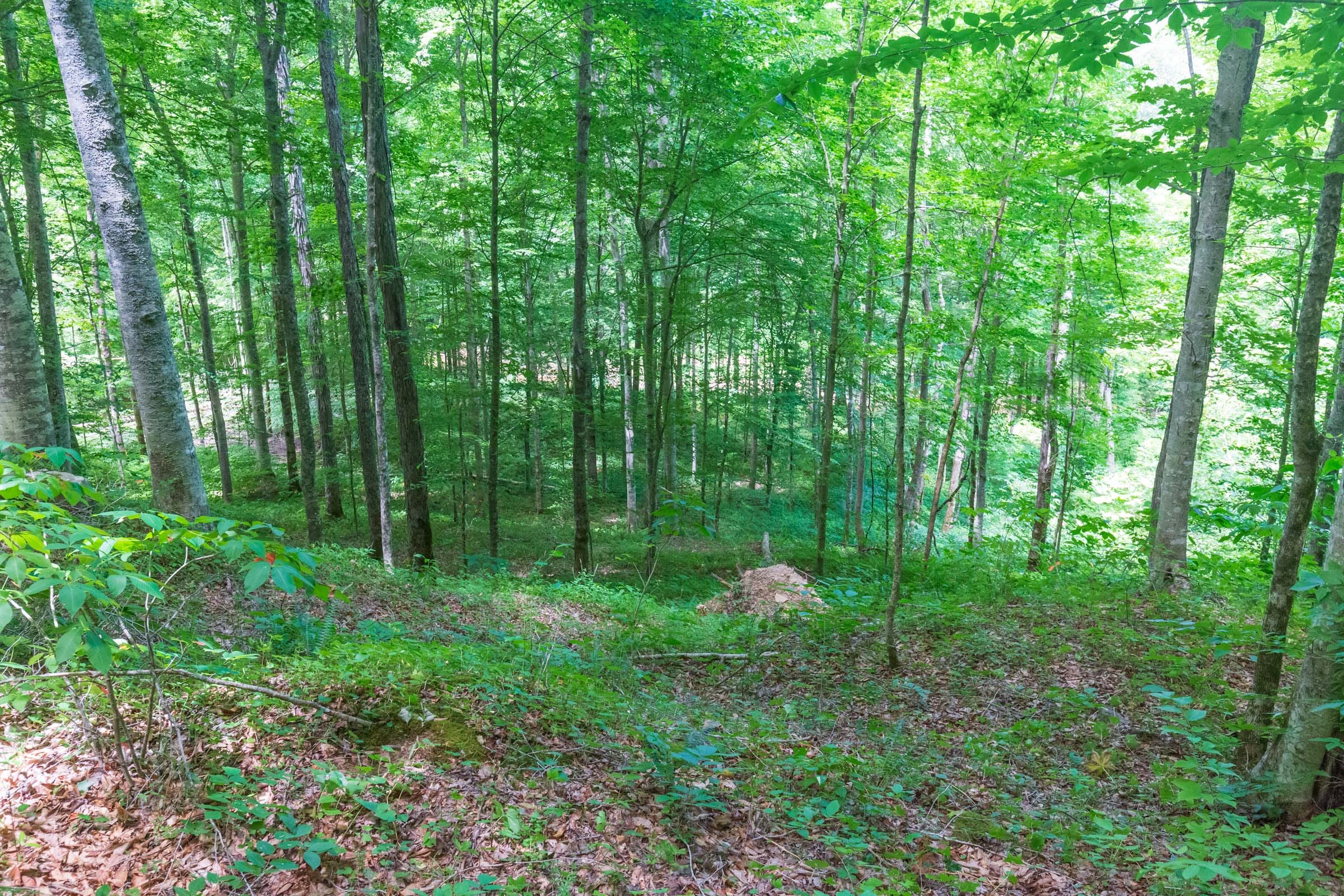 River’s Edge Tract 16 photo 10