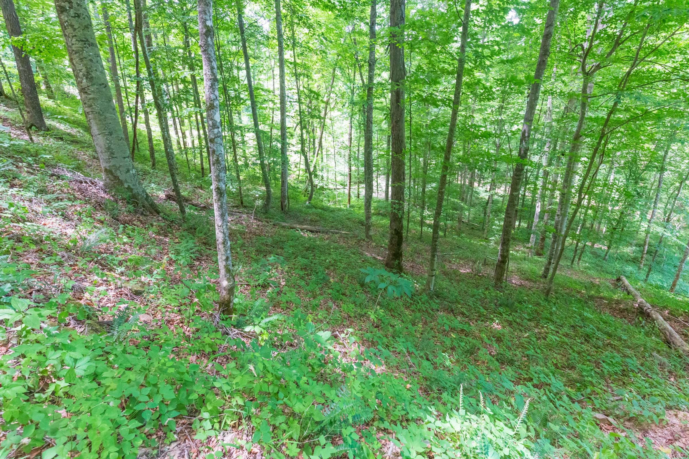 River’s Edge Tract 16 photo 11
