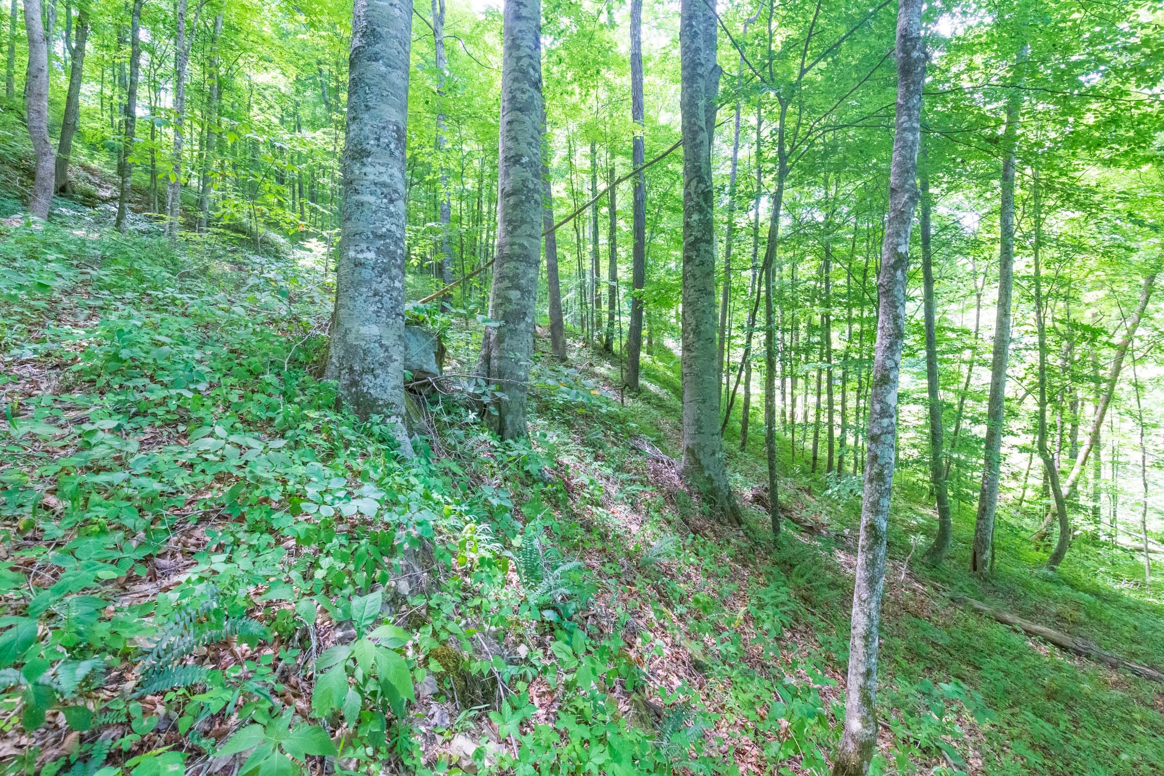 River’s Edge Tract 16 photo 12