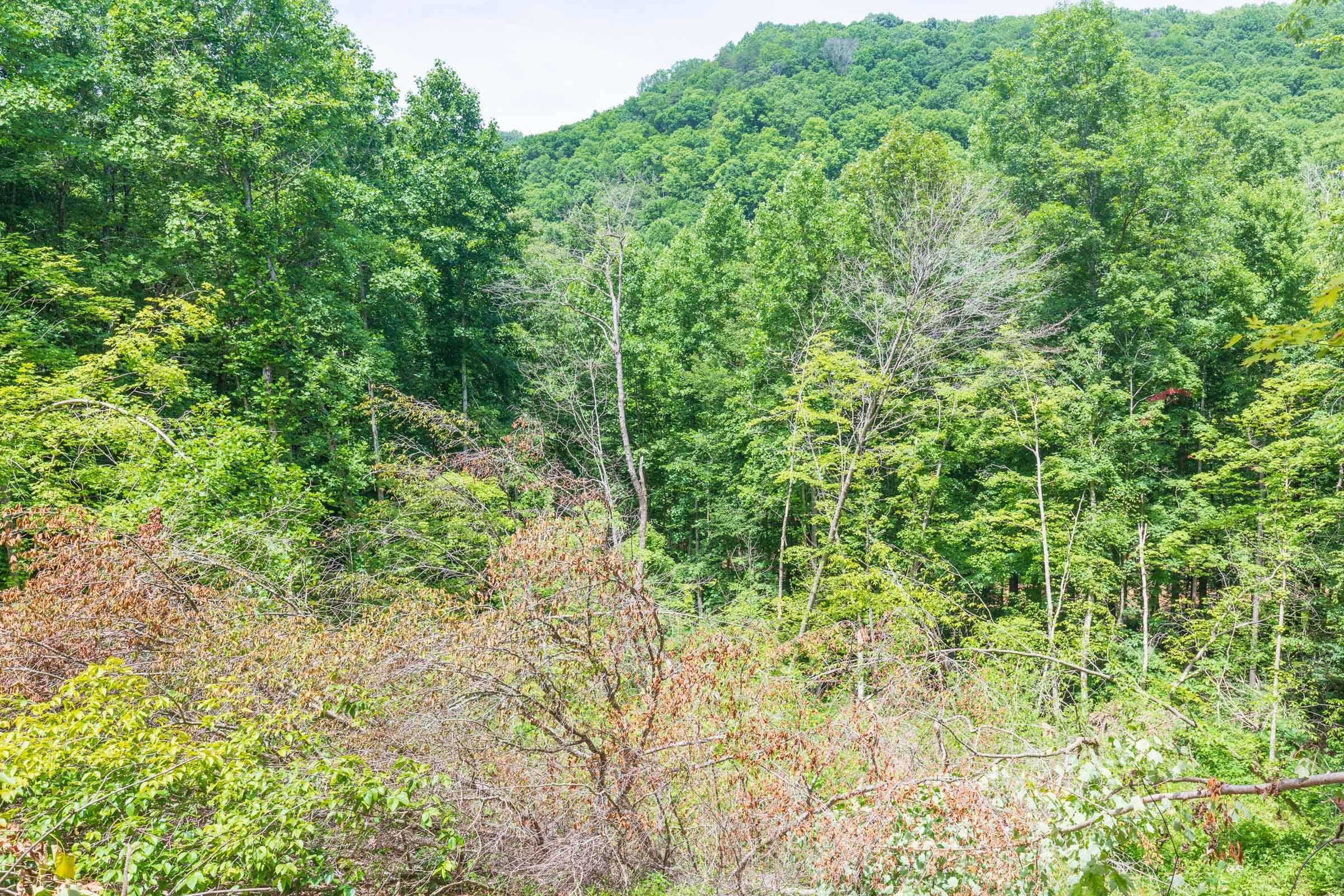 River’s Edge Tract 16 photo 15