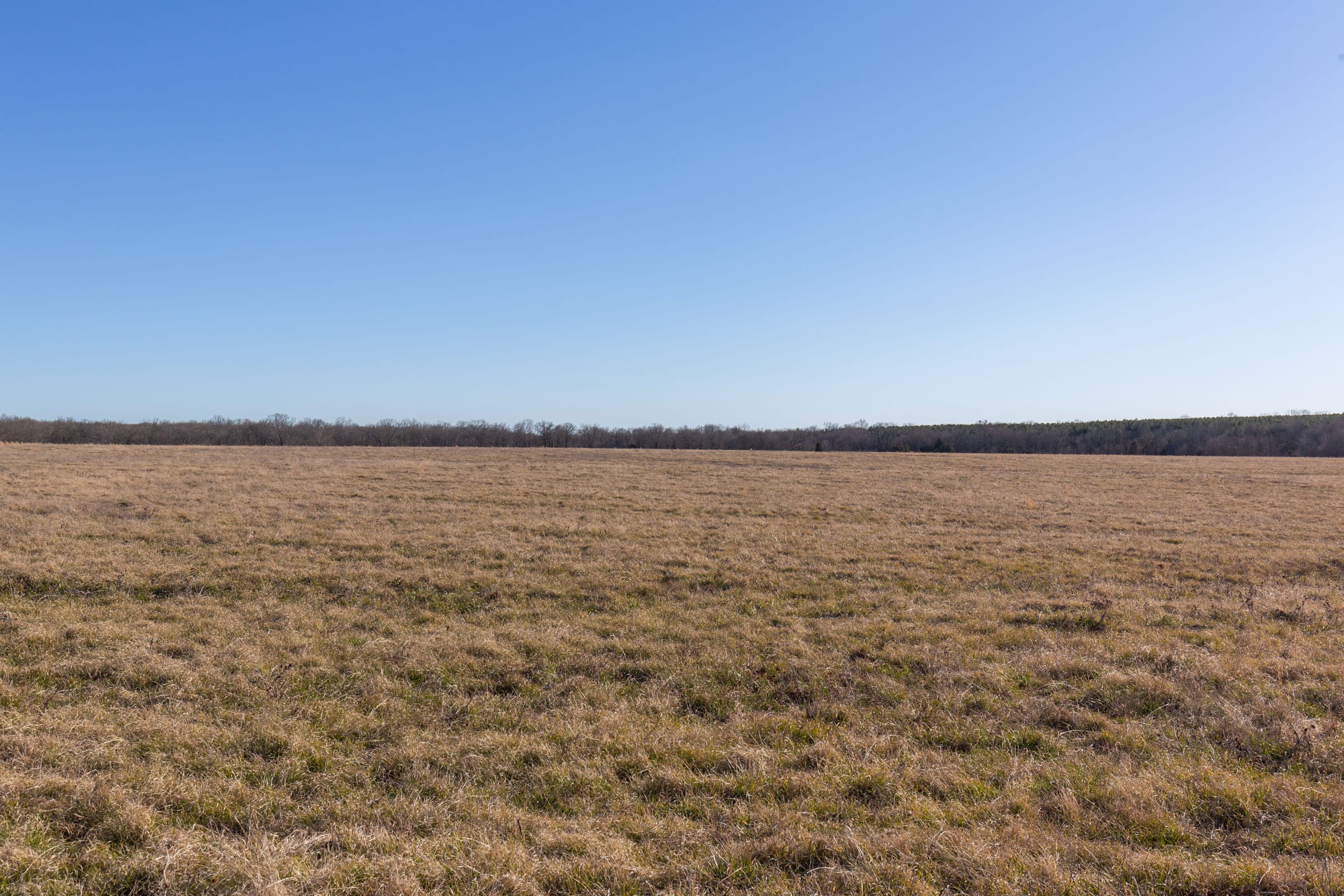 Wishing Star Ranch Tract 10 photo 3