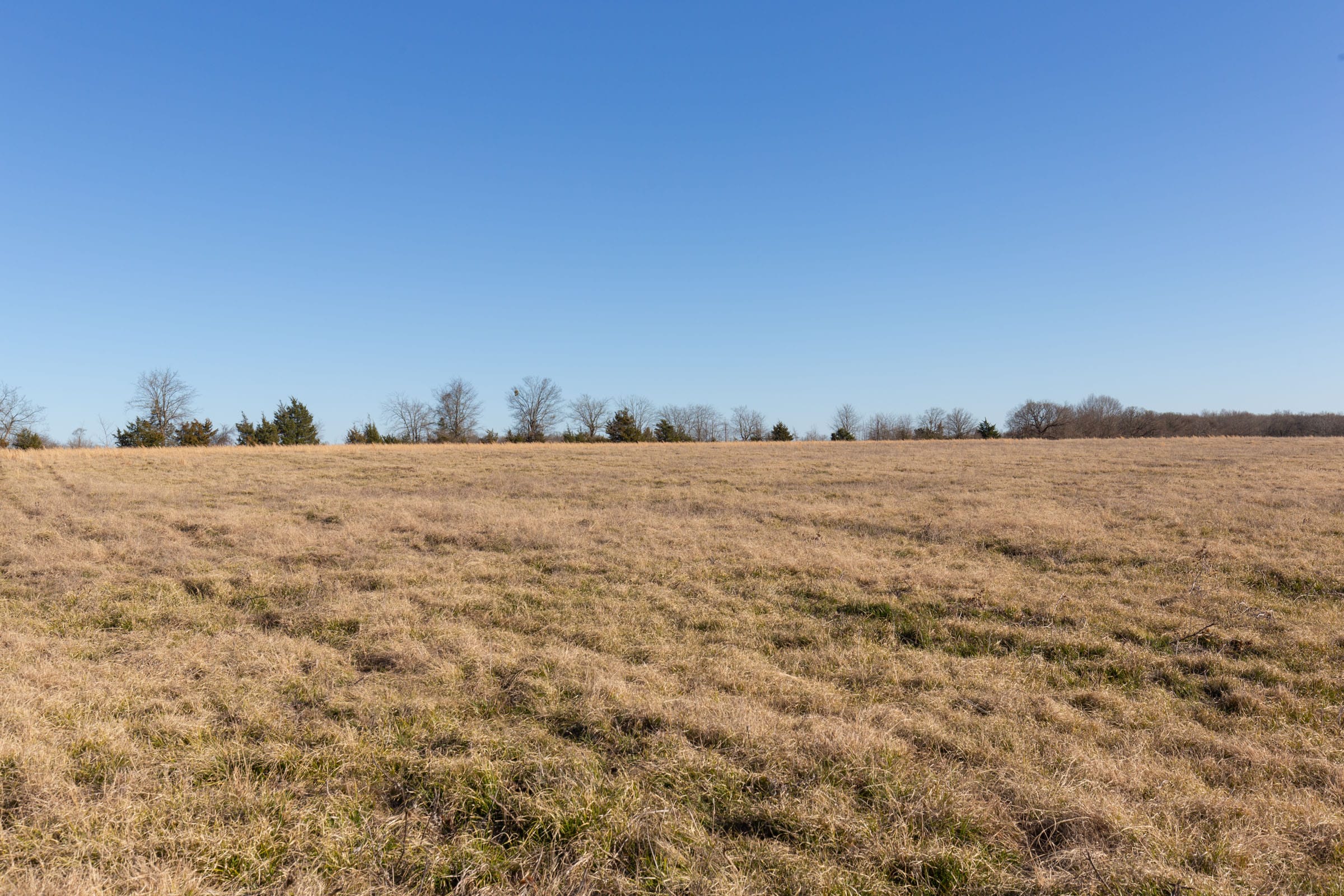 Wishing Star Ranch Tract 10 photo 4