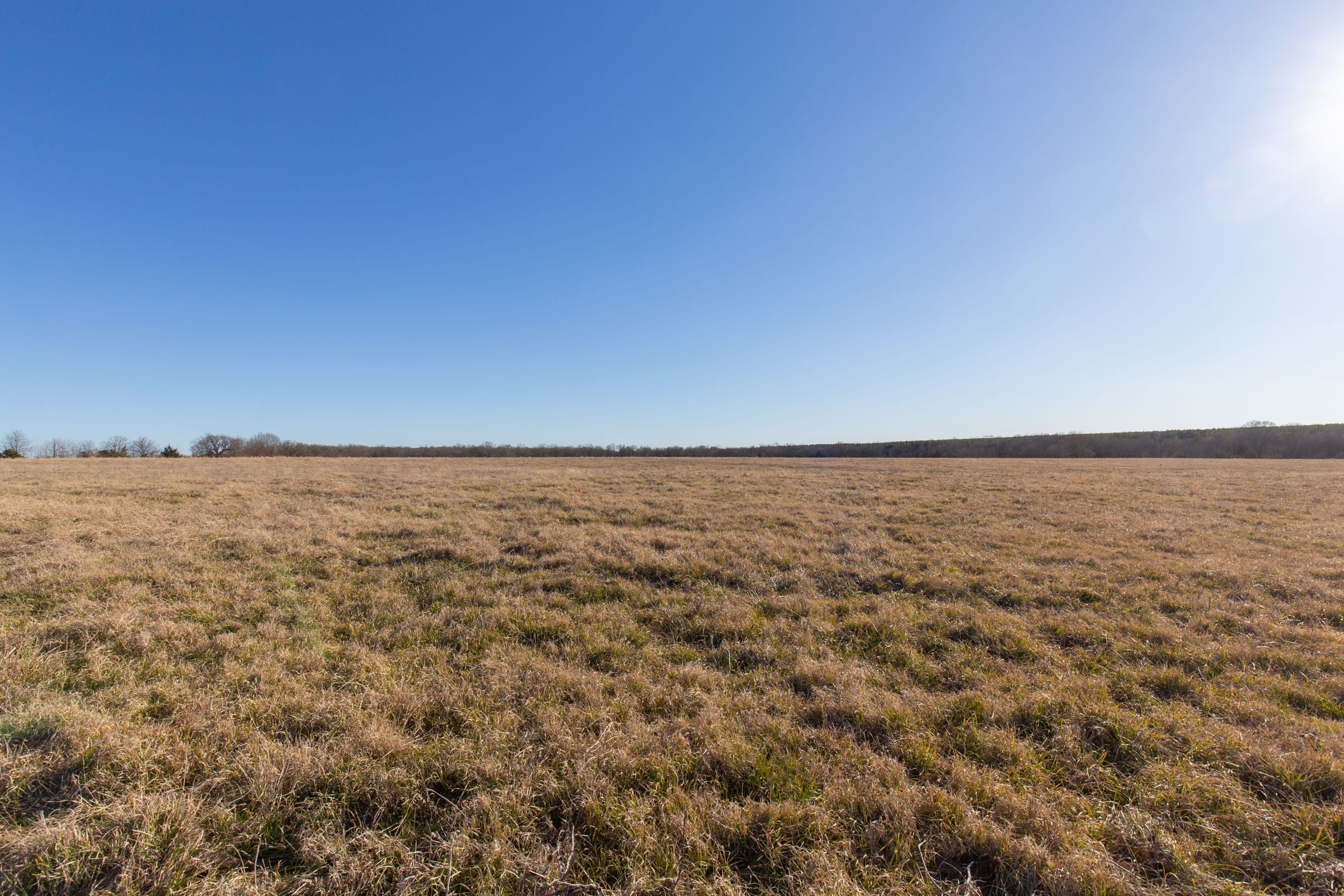 Wishing Star Ranch Tract 10 photo 6
