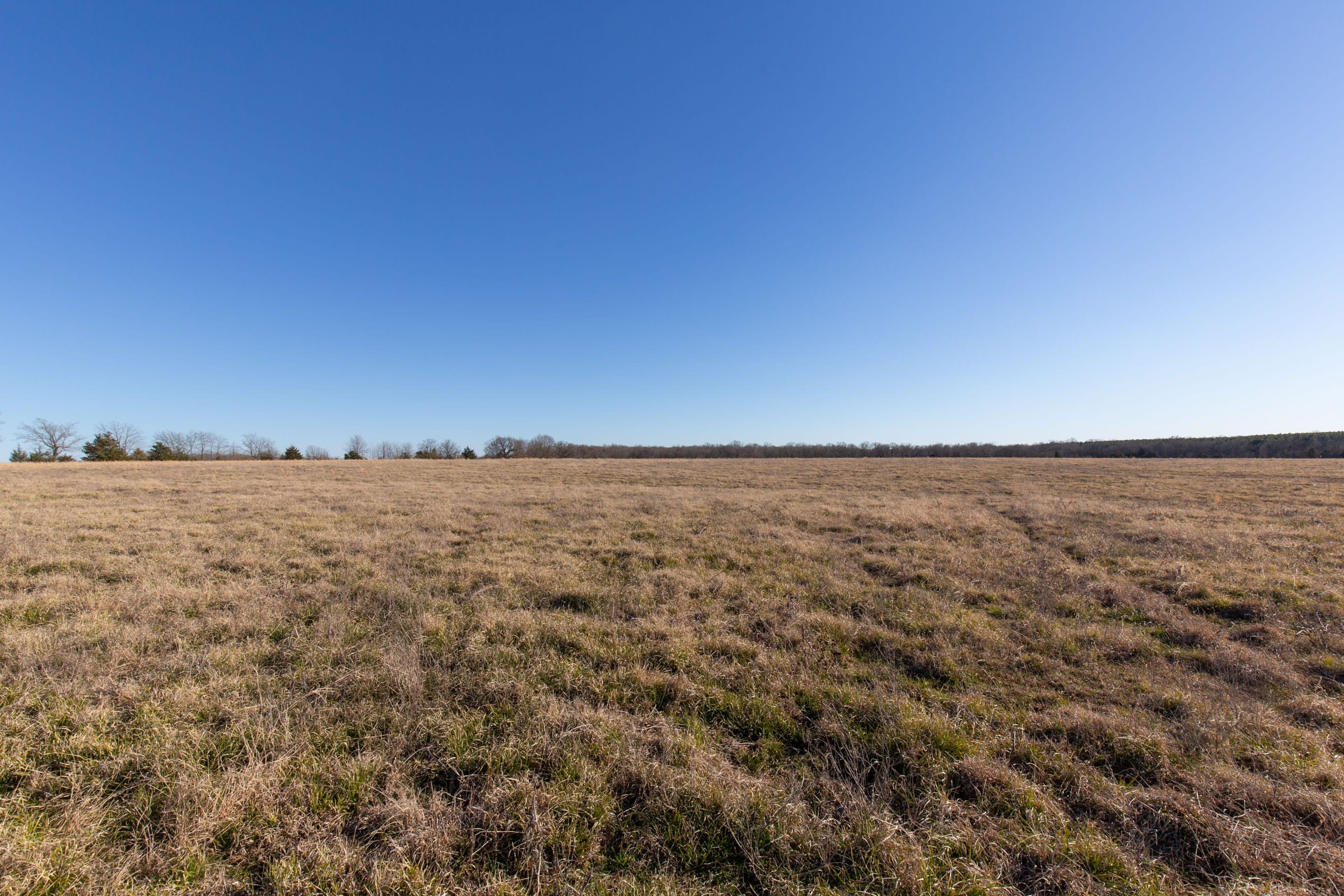 Wishing Star Ranch Tract 10 photo 10