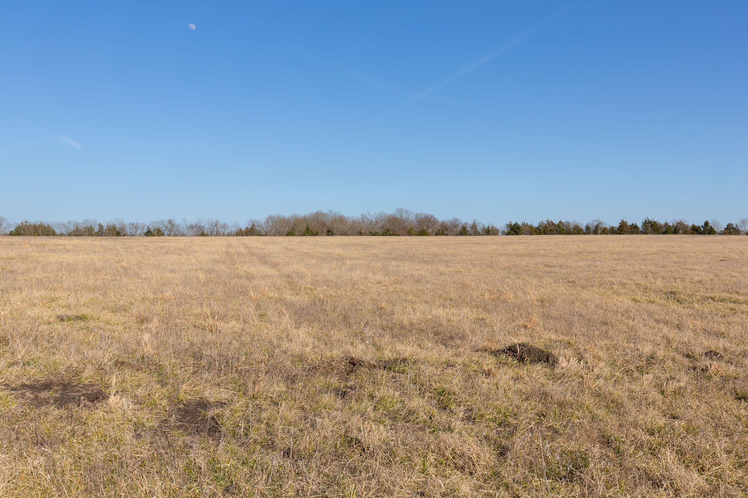Wishing Star Ranch Tract 77 photo 2