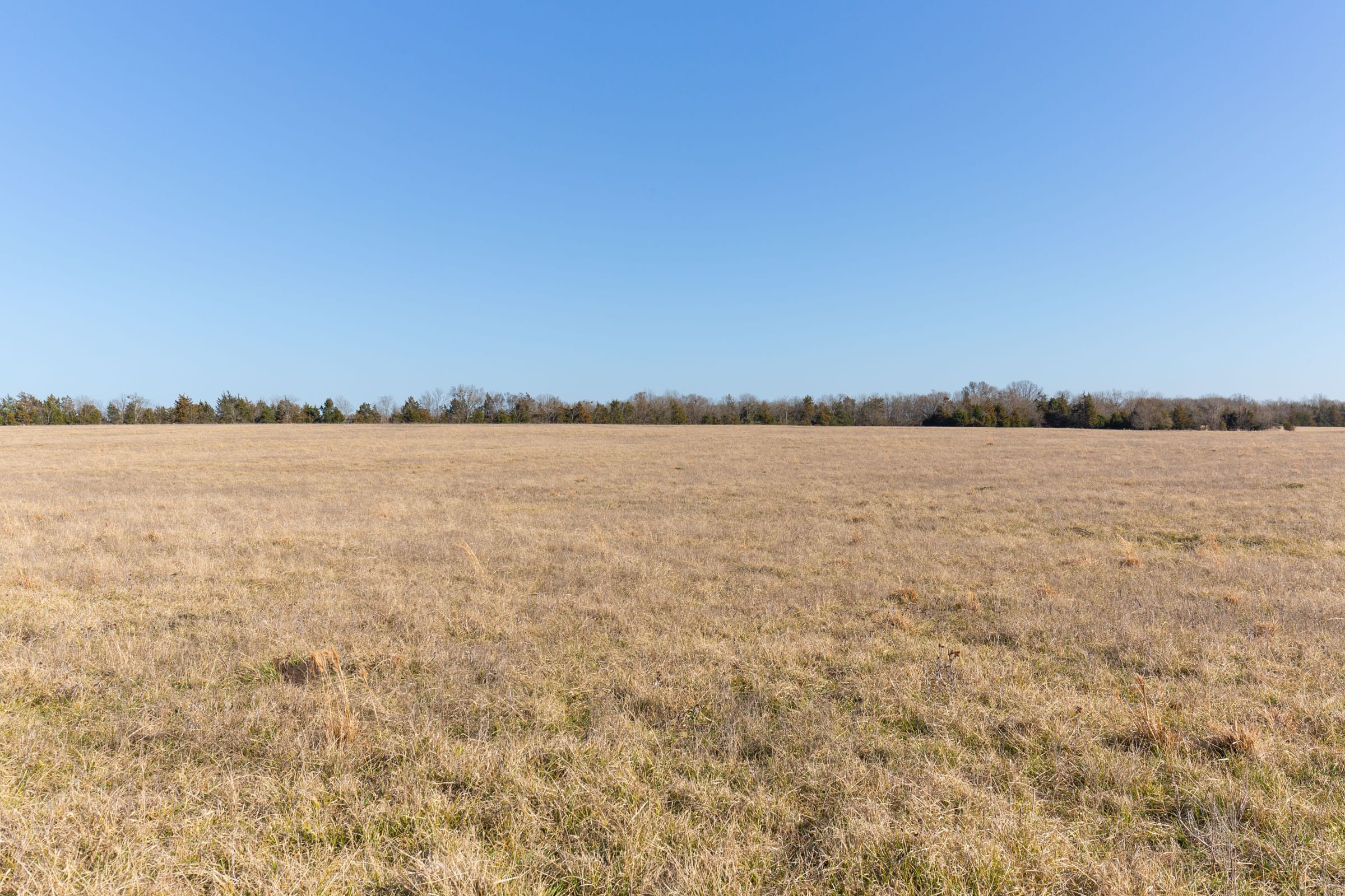 Wishing Star Ranch Tract 77 photo 3