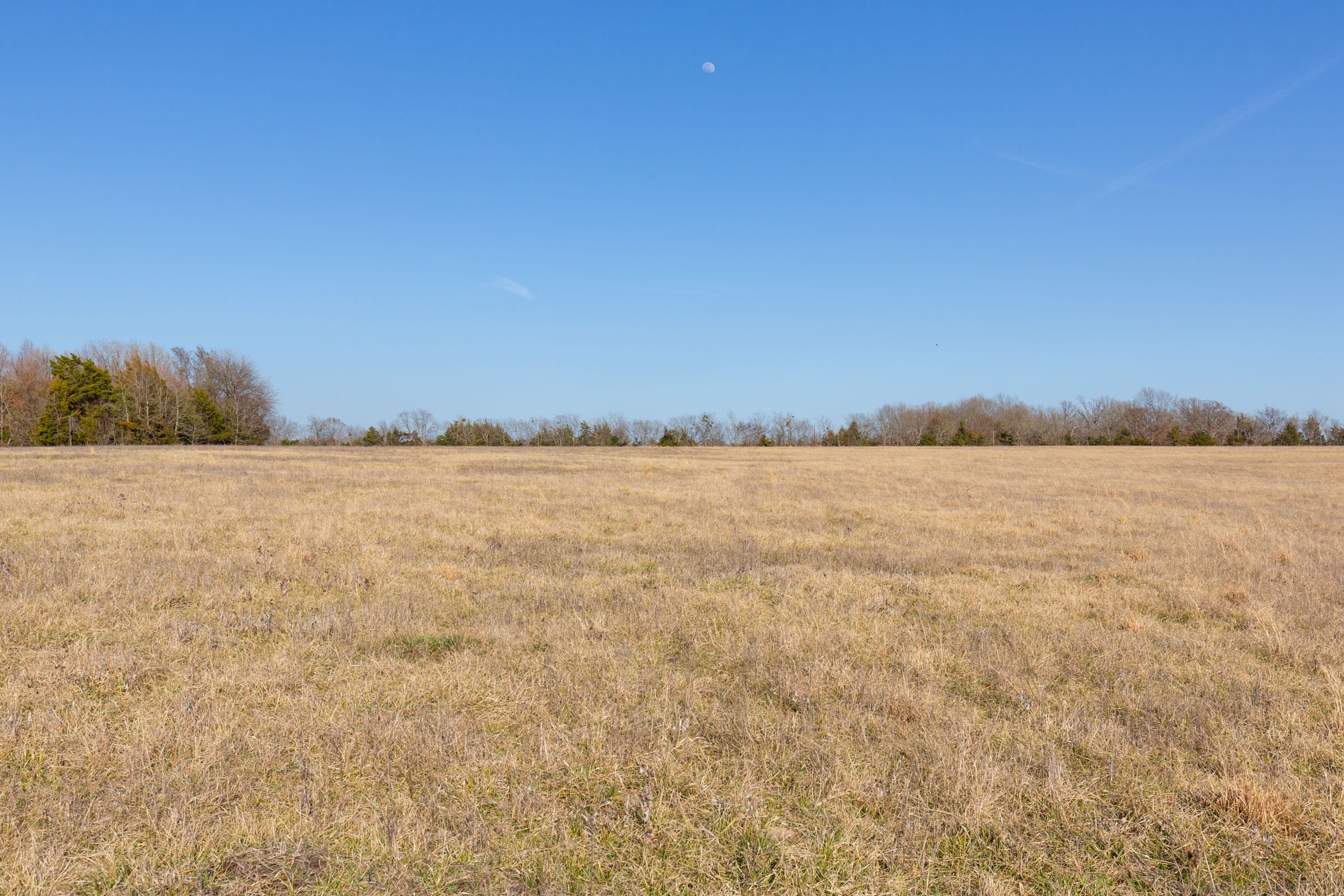 Wishing Star Ranch Tract 77 photo 4