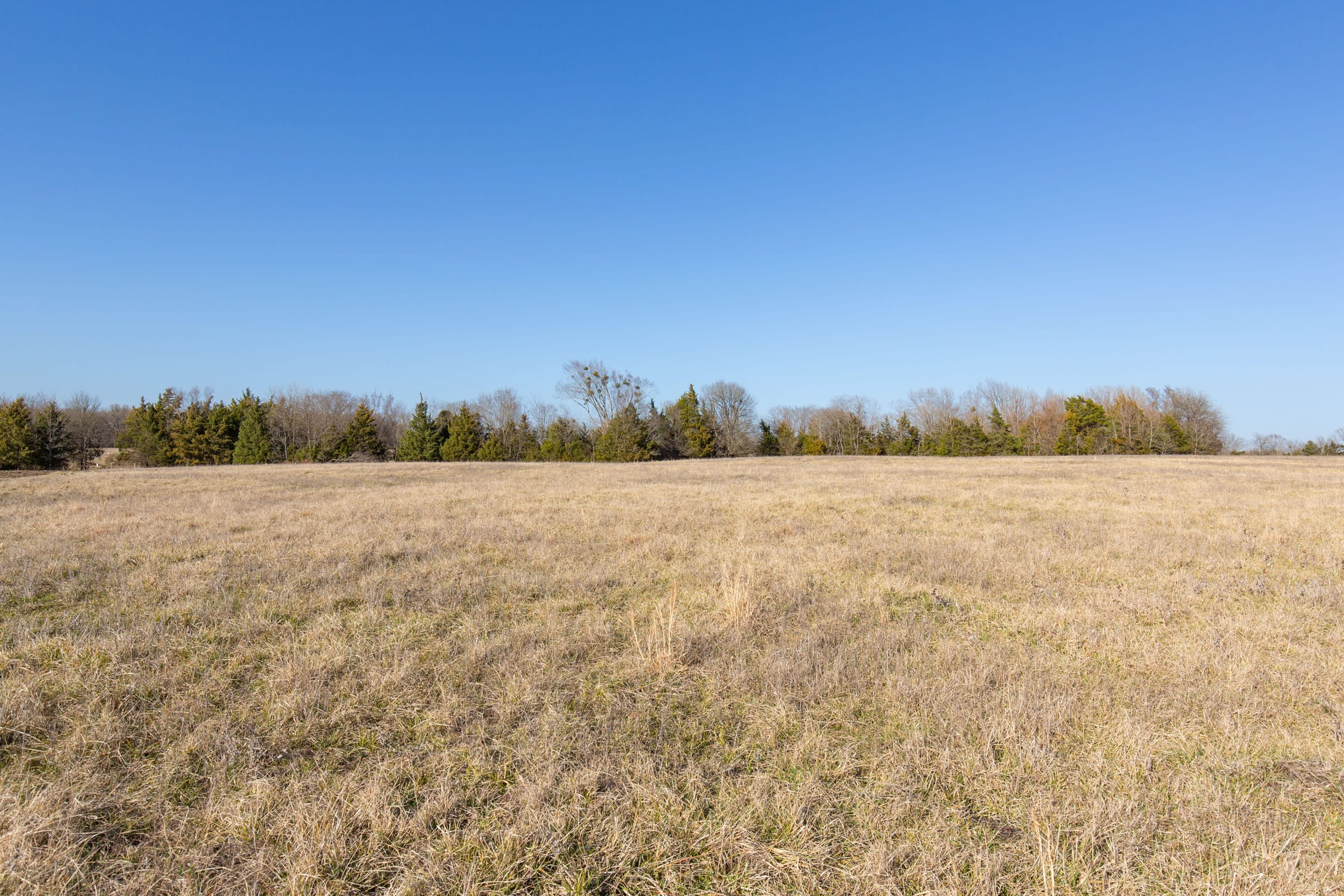 Wishing Star Ranch Tract 77 photo 5