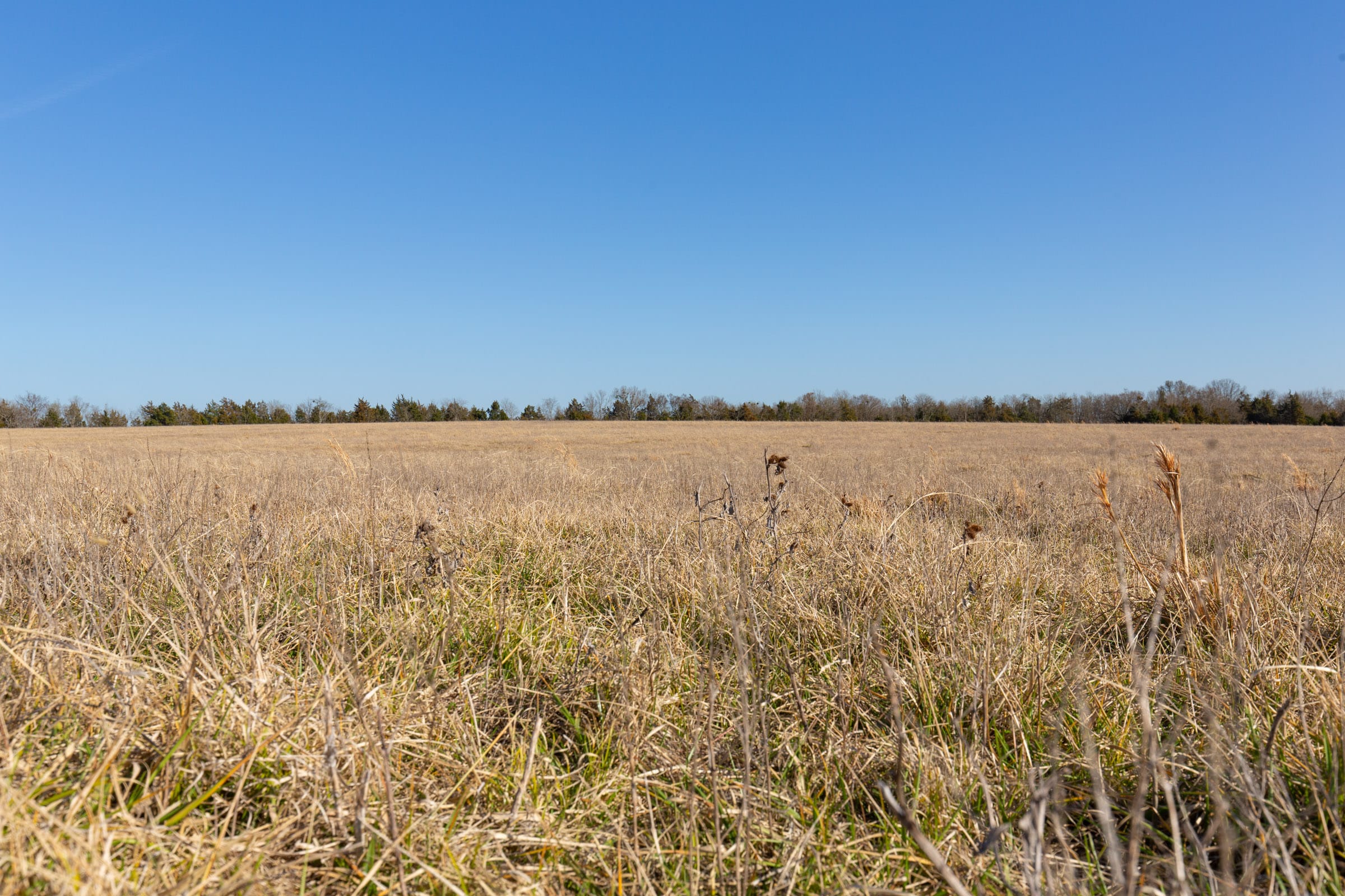 Wishing Star Ranch Tract 77 photo 6