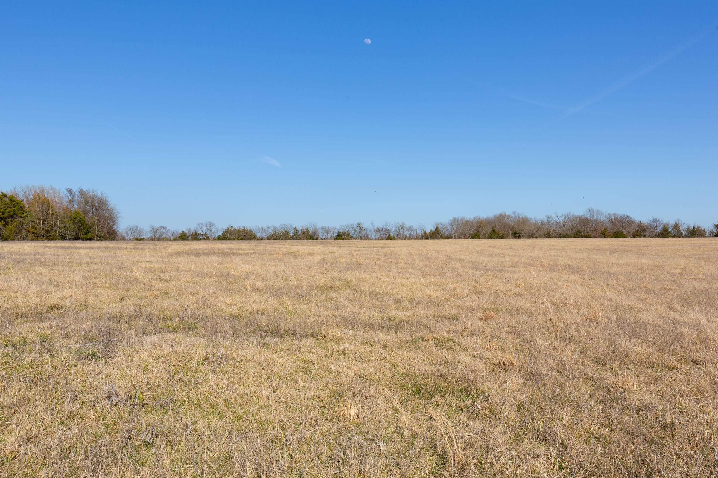 Wishing Star Ranch Tract 77 photo 8