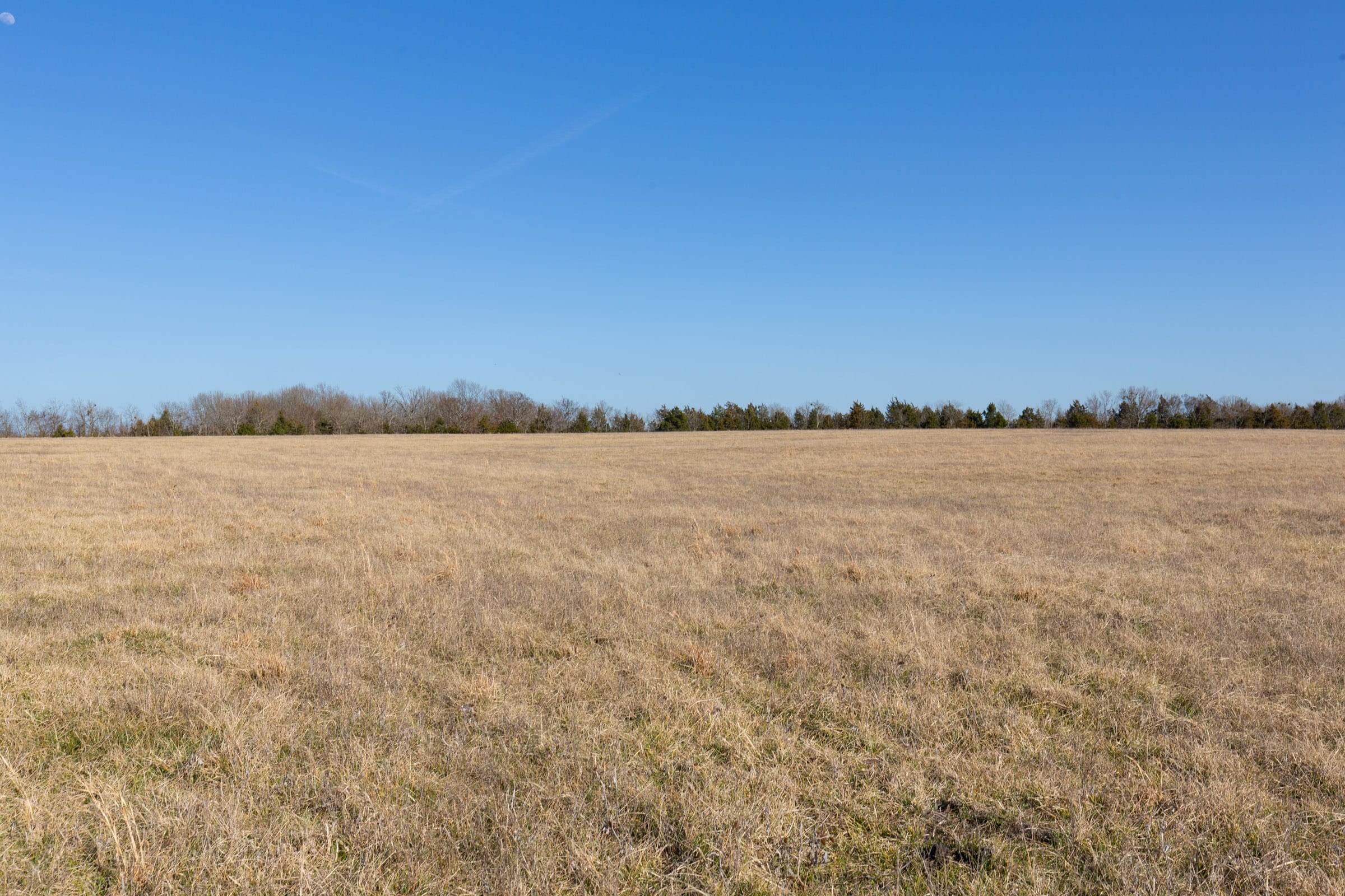 Wishing Star Ranch Tract 77 photo 9