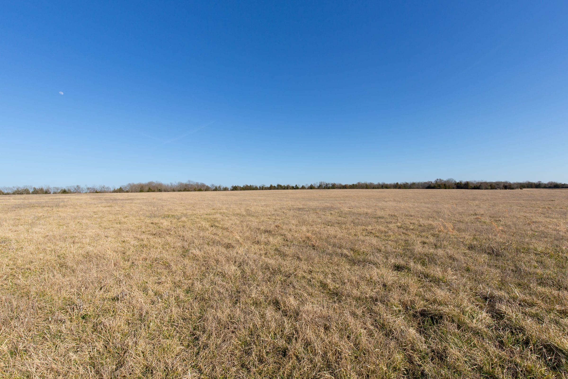 Wishing Star Ranch Tract 77 photo 10